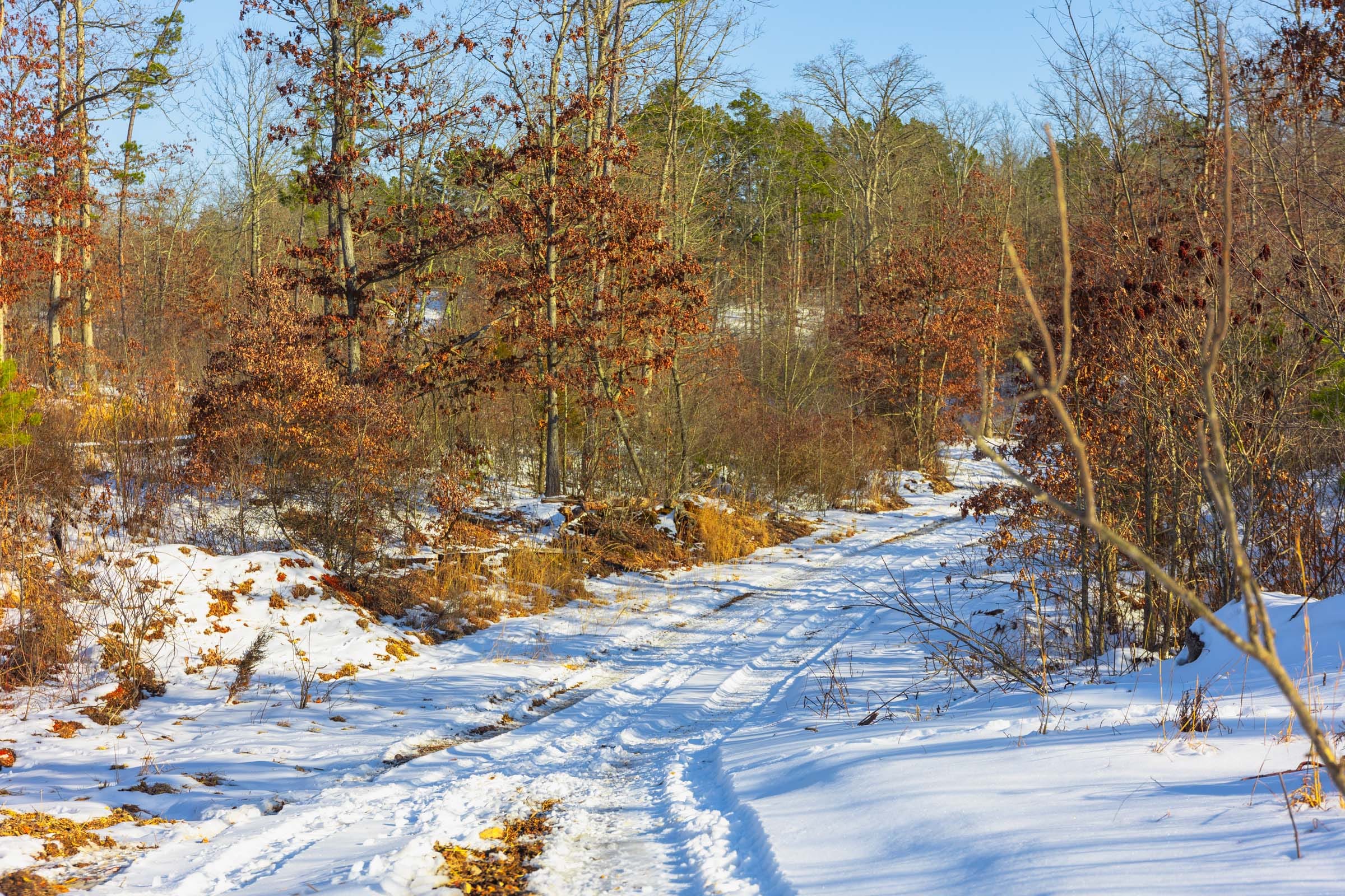Sleepy Hollow Phase I Tract 31 photo 8