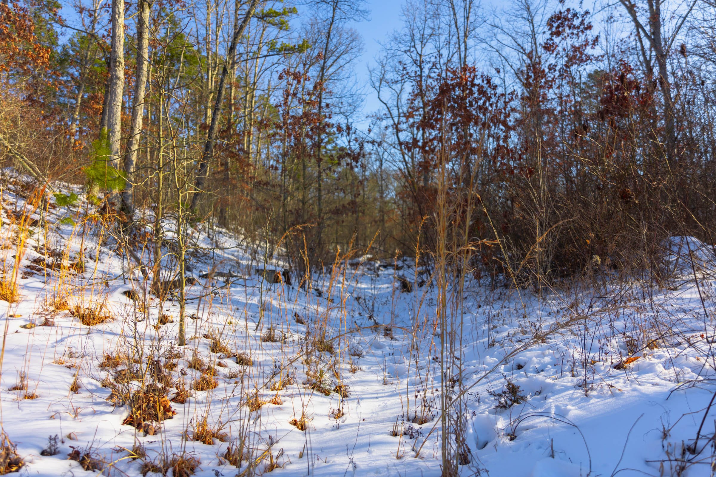 Sleepy Hollow Phase I Tract 31 photo 7