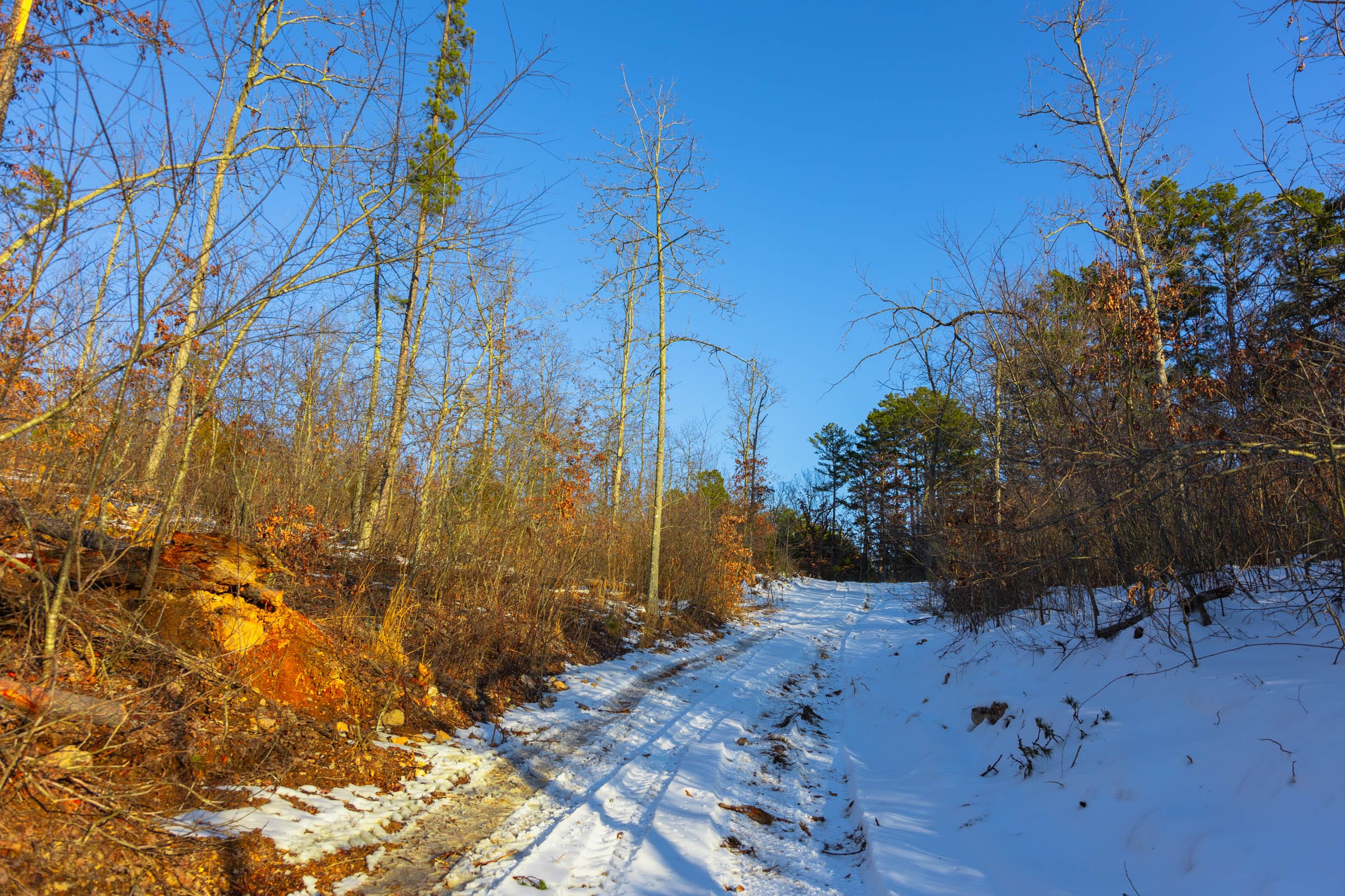 Sleepy Hollow Phase I Tract 31 photo 2