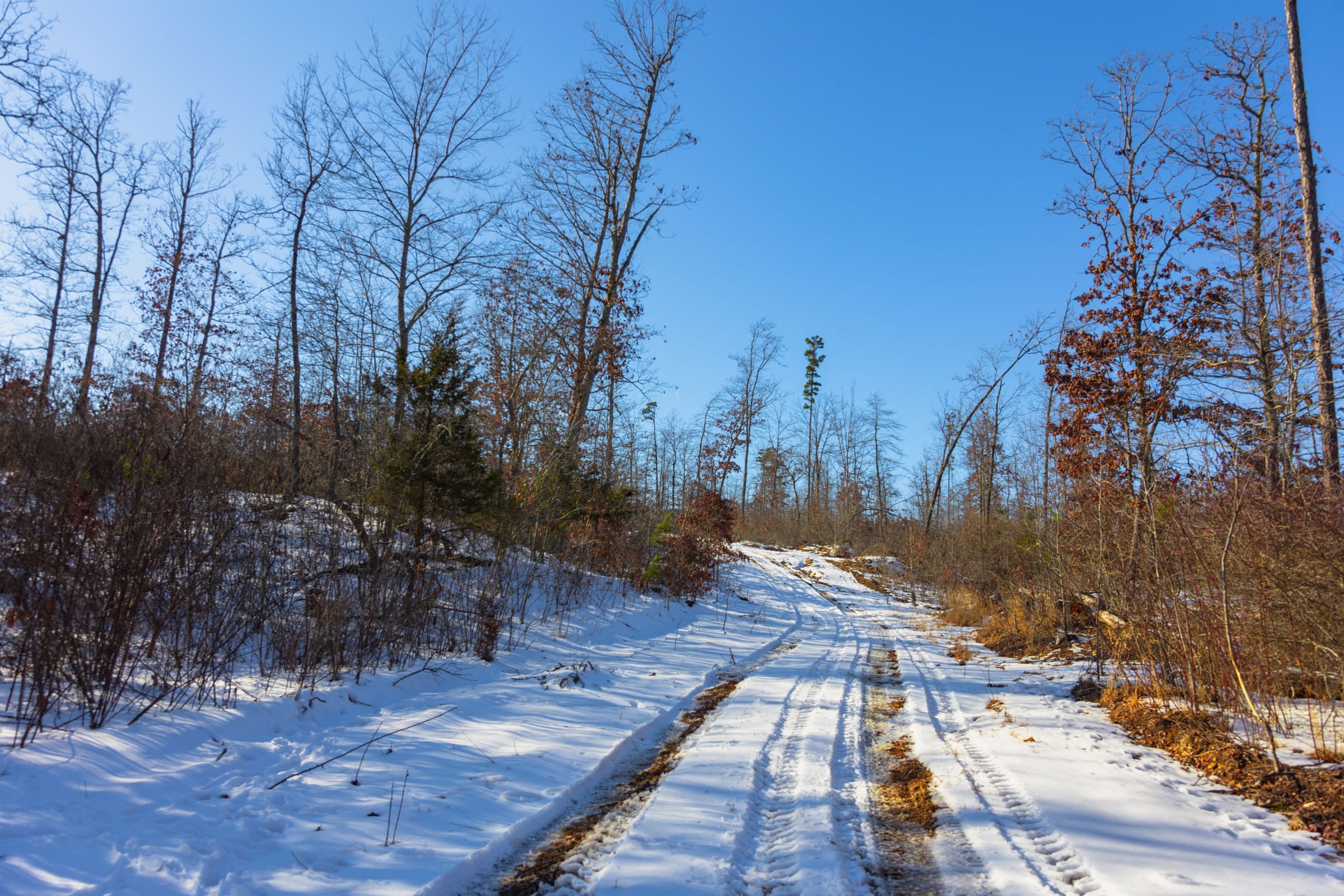 Sleepy Hollow Phase I Tract 31 photo 1