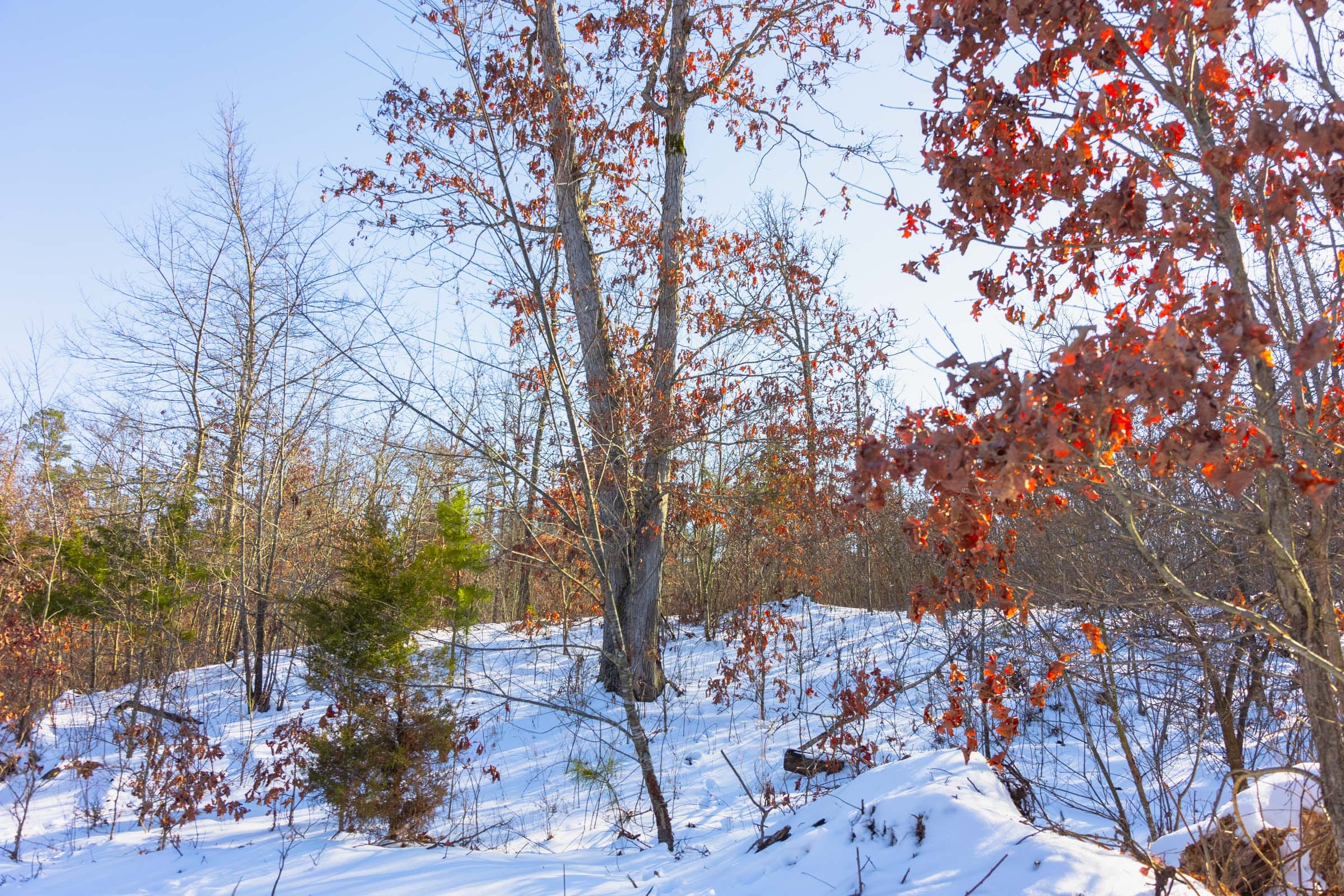 Sleepy Hollow Phase I Tract 31 photo 6