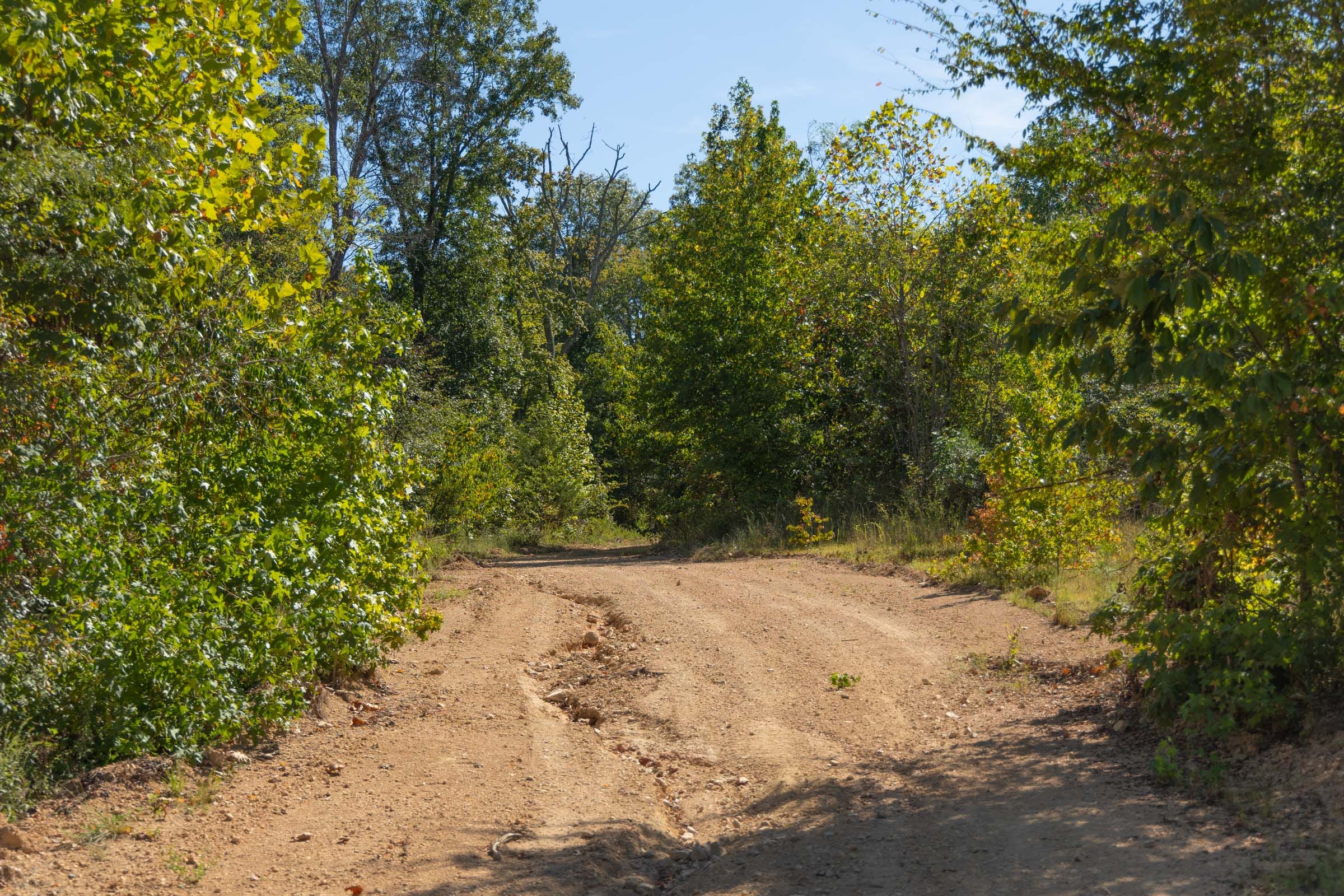 Big White Oak Tract 103 photo 10