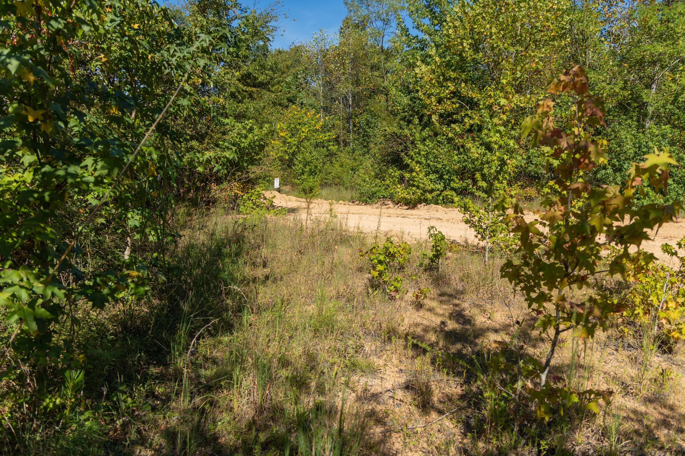 Big White Oak Tract 103 photo 8