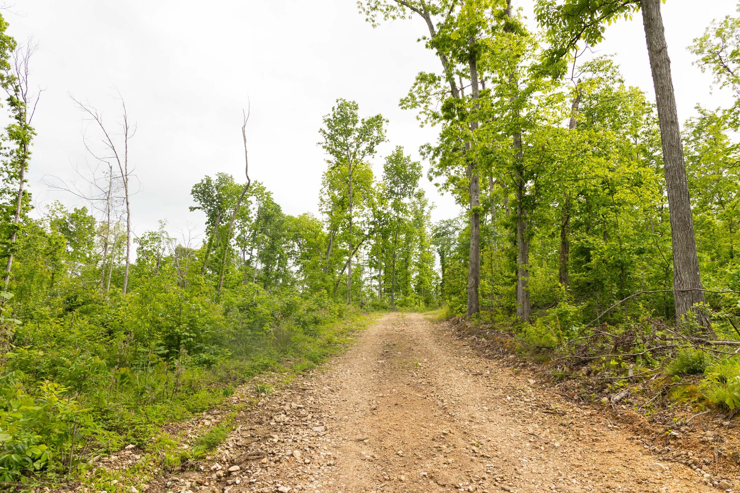 Stardust Estates Tract 30 photo 2