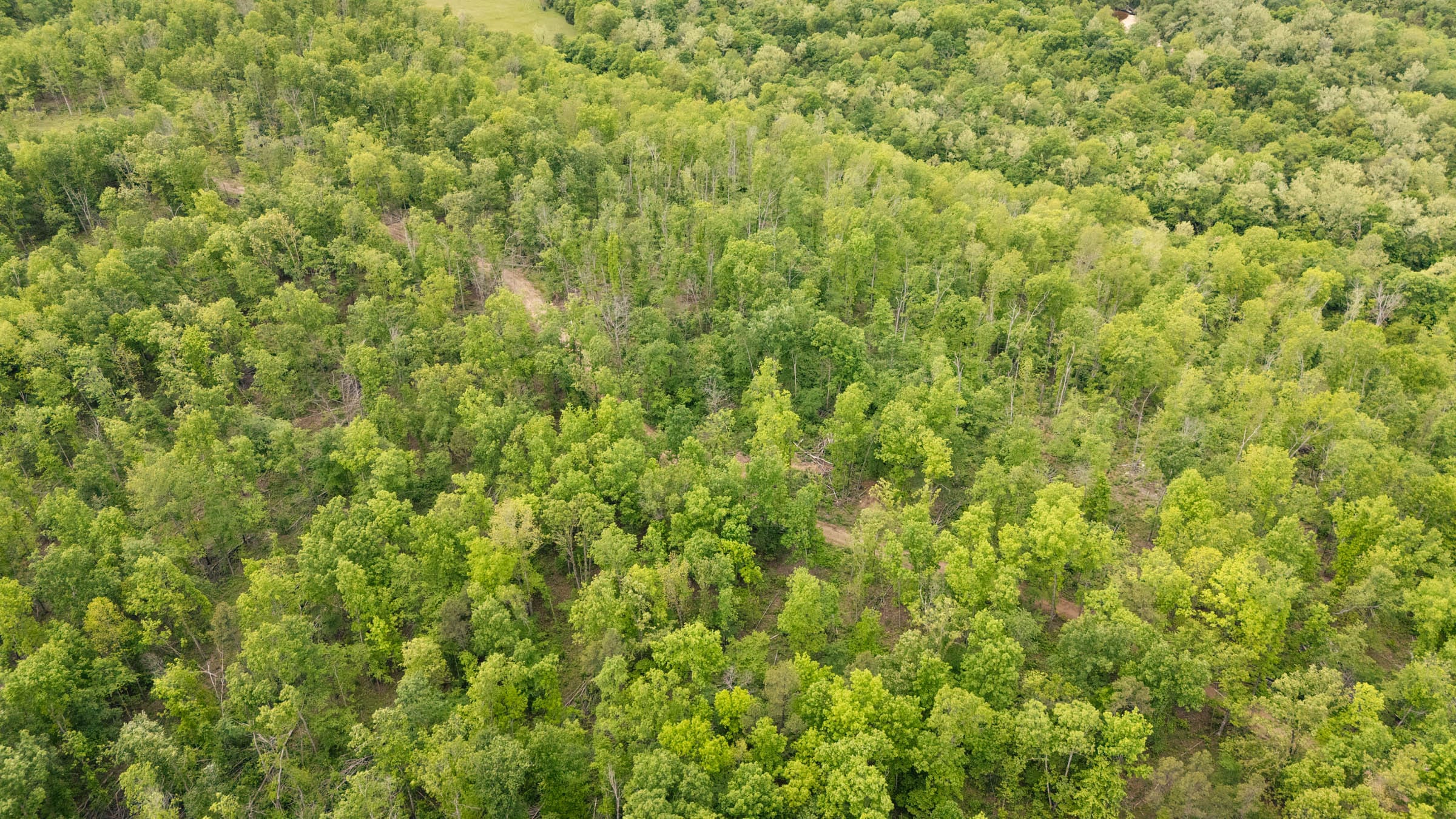Stardust Estates Tract 16 photo 1