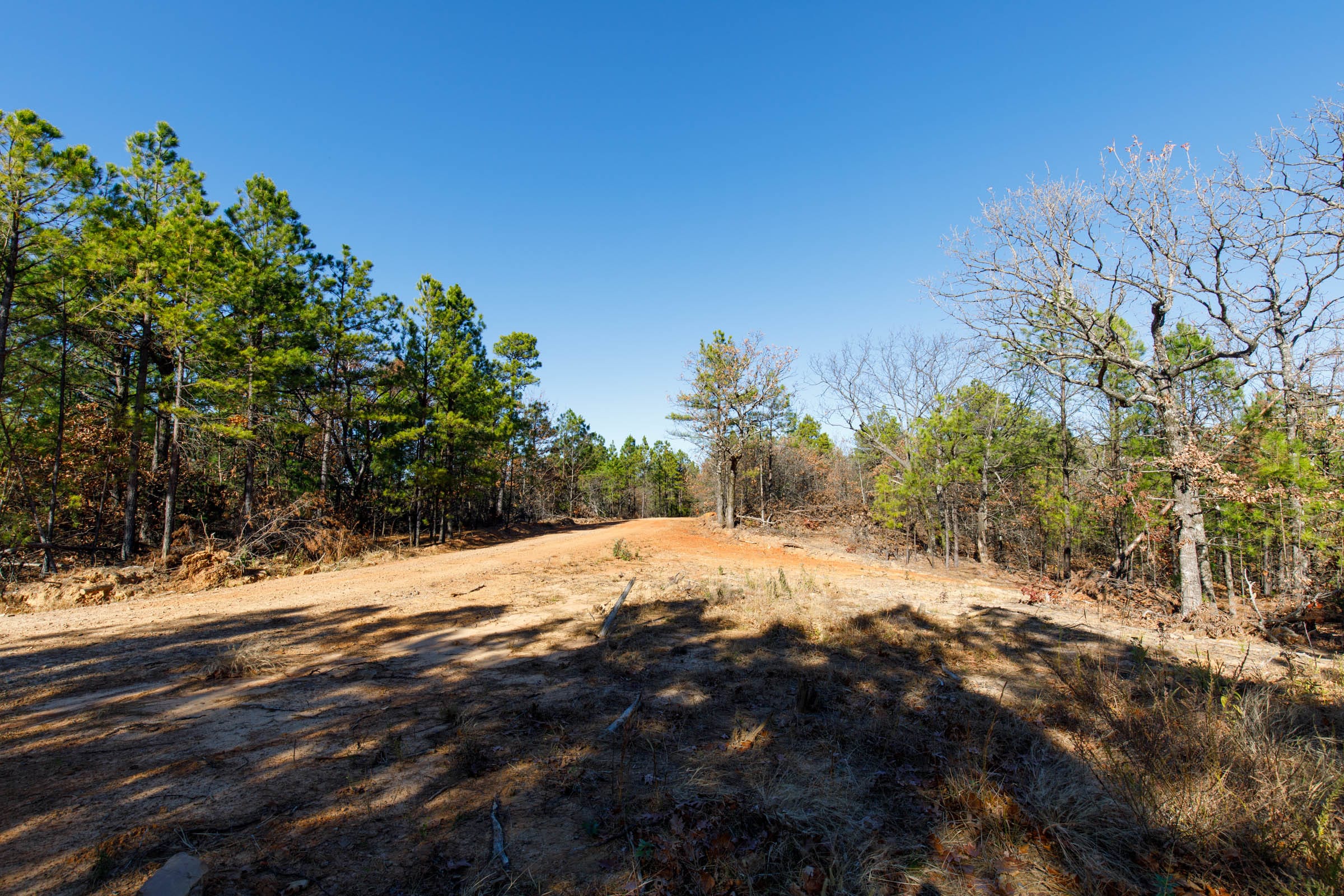 Stone Bridge Phase II Tract 130 photo 6
