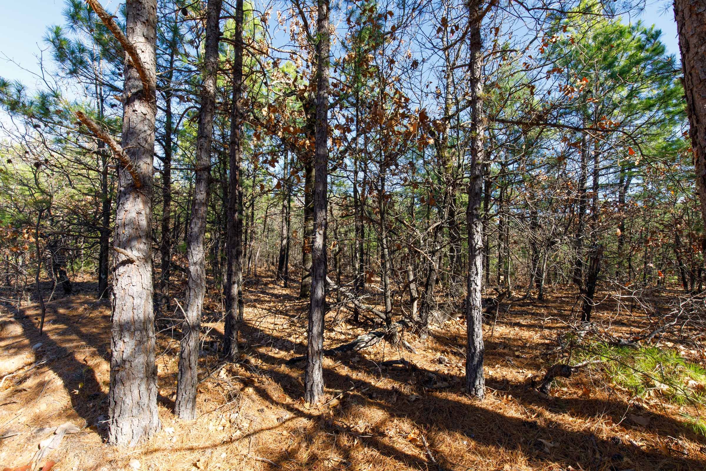 Stone Bridge Phase II Tract 130 photo 2