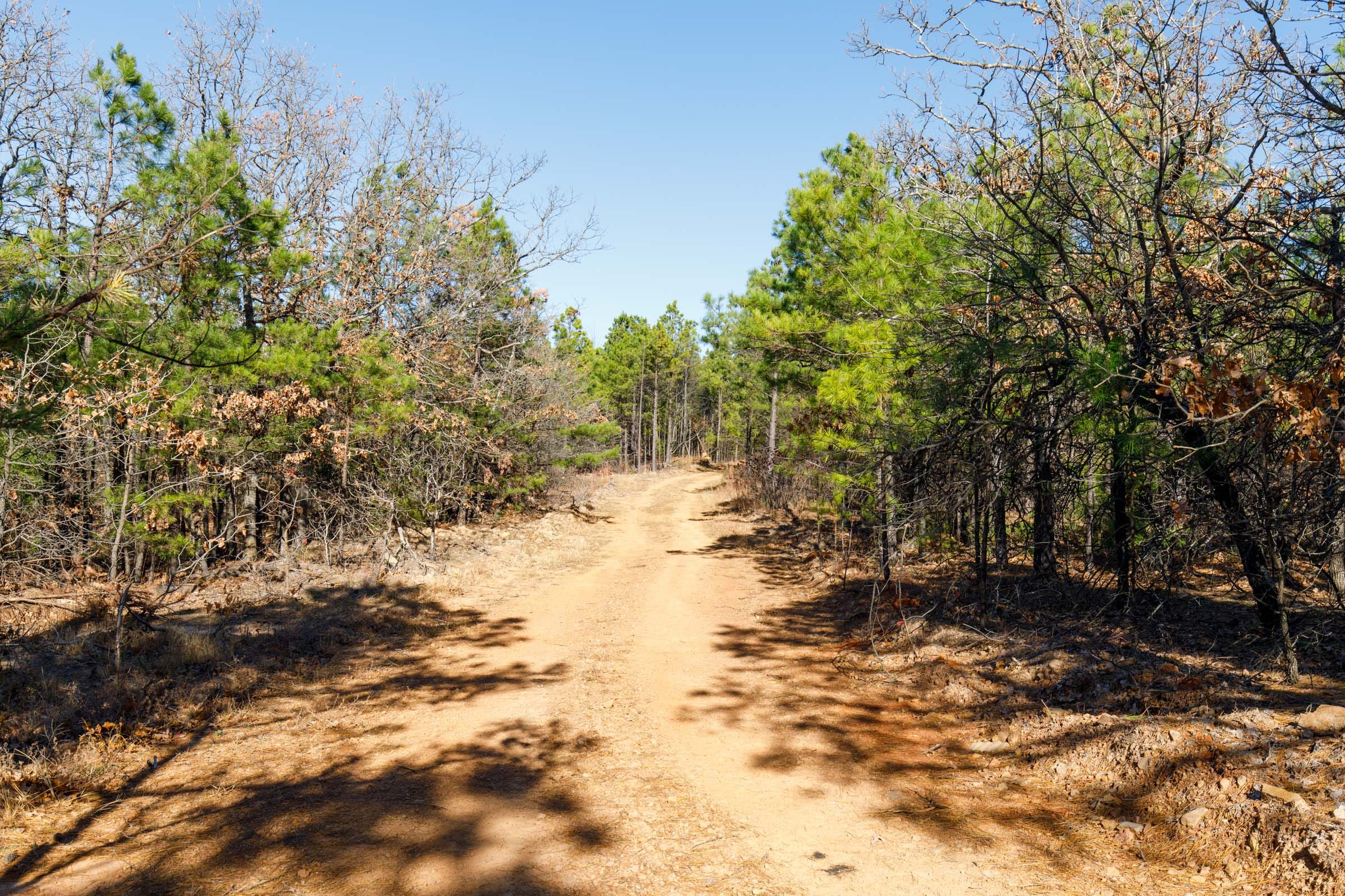 Stone Bridge Phase II Tract 130 photo 1