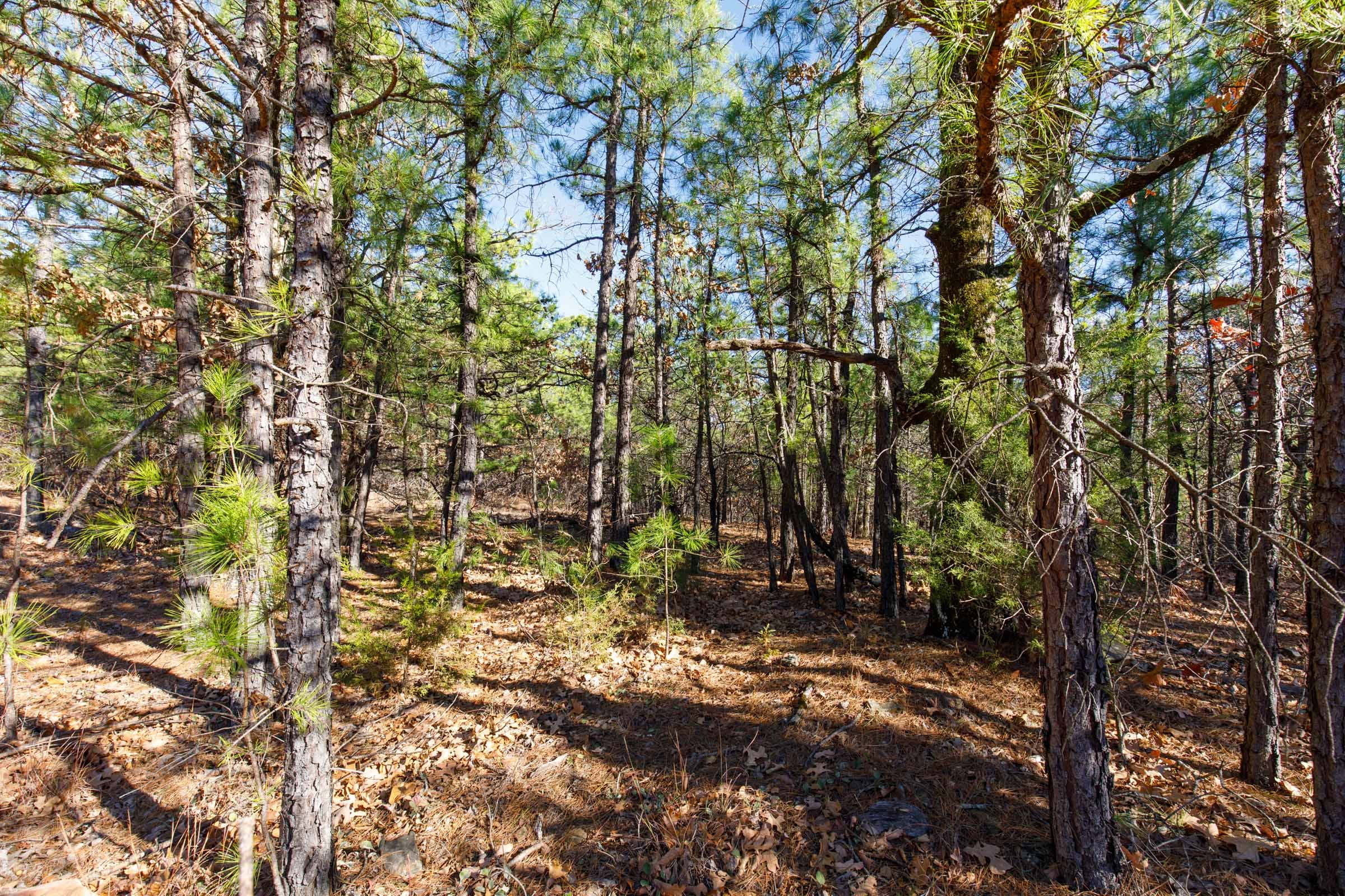 Stone Bridge Phase II Tract 130 photo 3