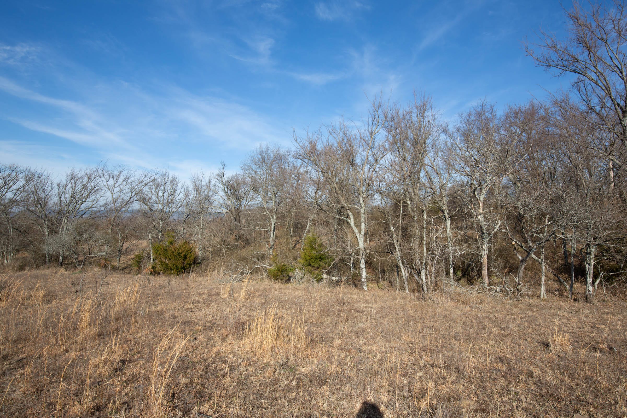 Painted Horse Tract 11 photo 2