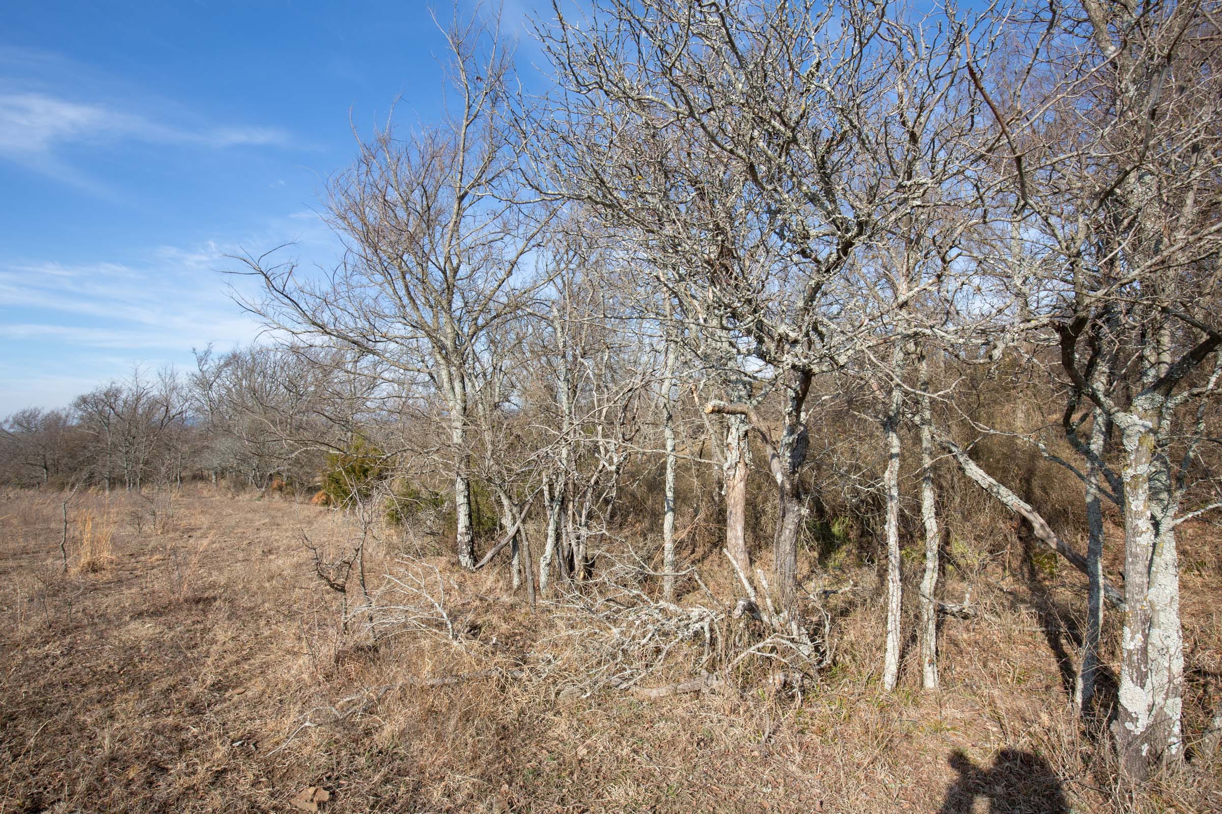 Painted Horse Tract 11 photo 4