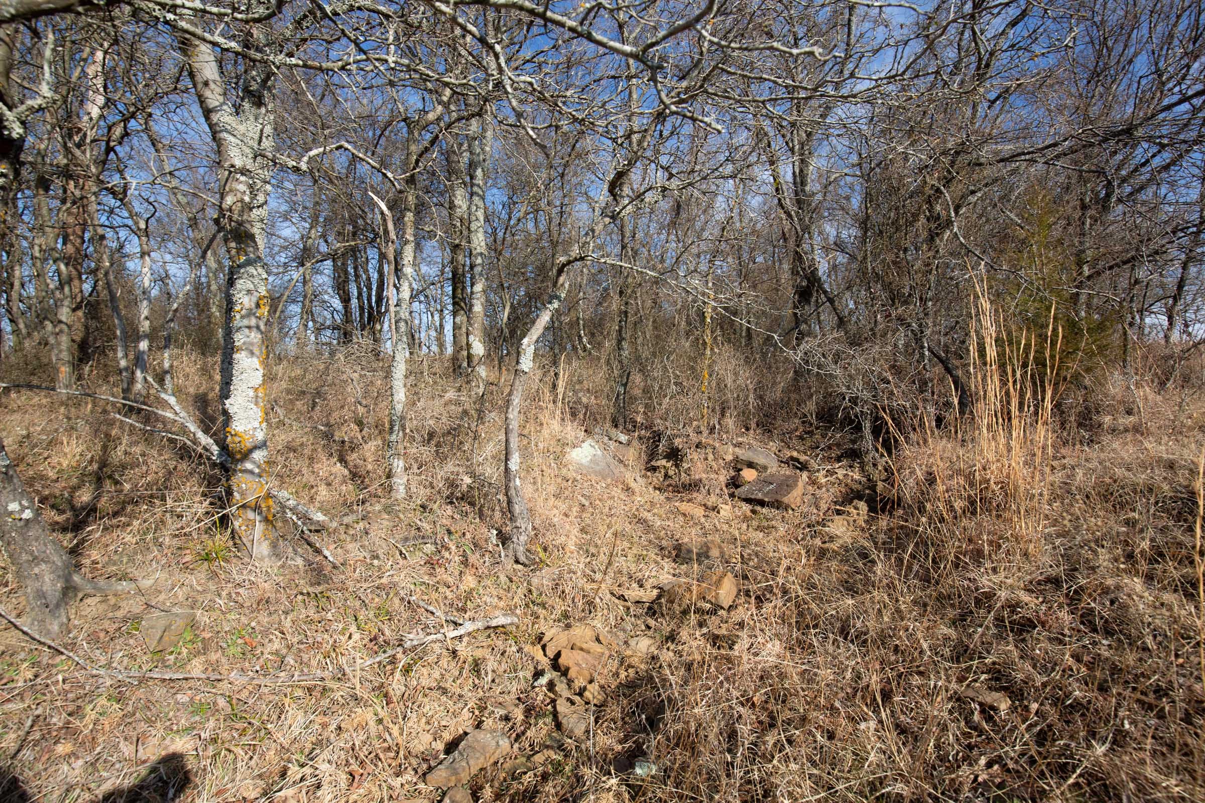 Painted Horse Tract 11 photo 5