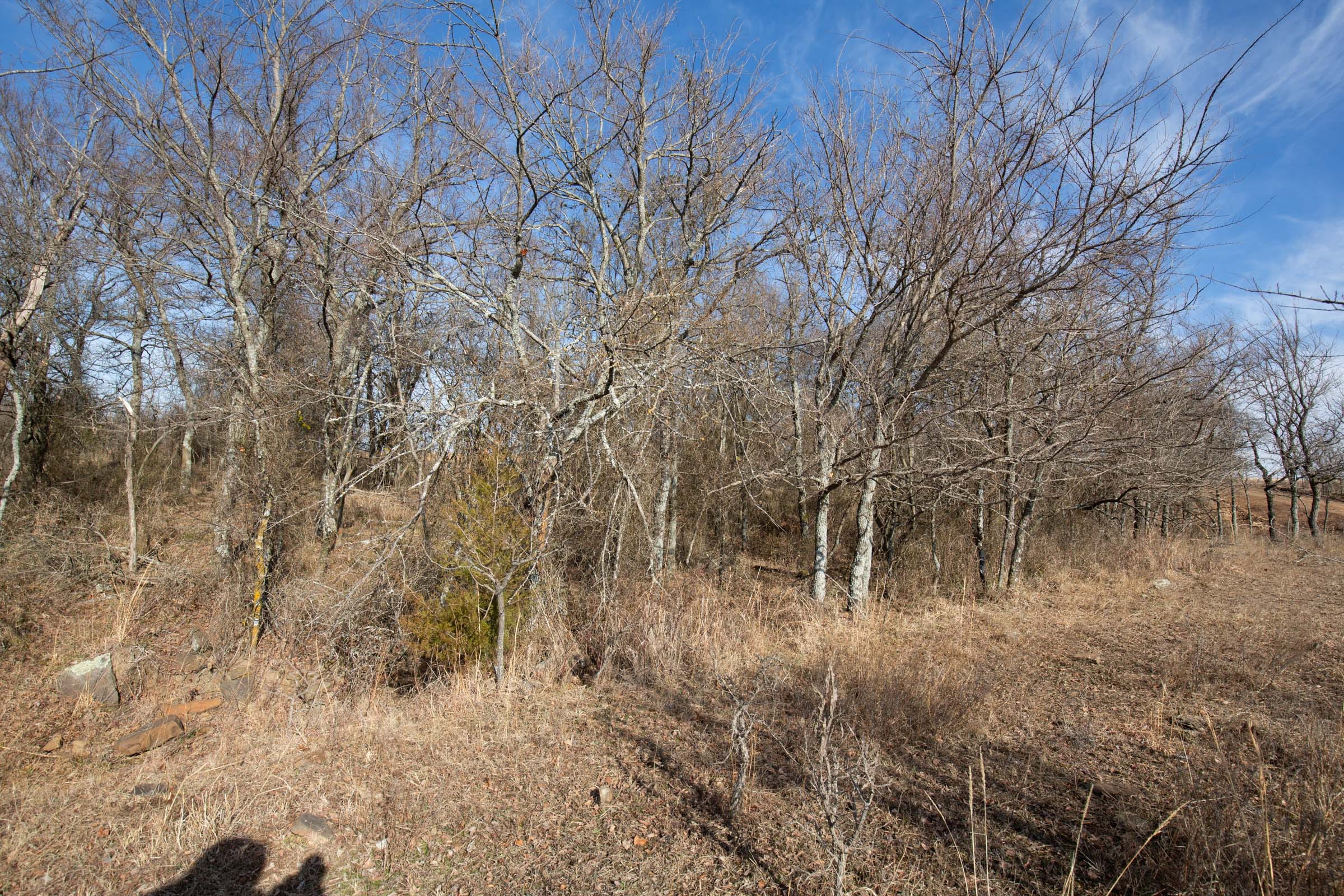 Painted Horse Tract 11 photo 7