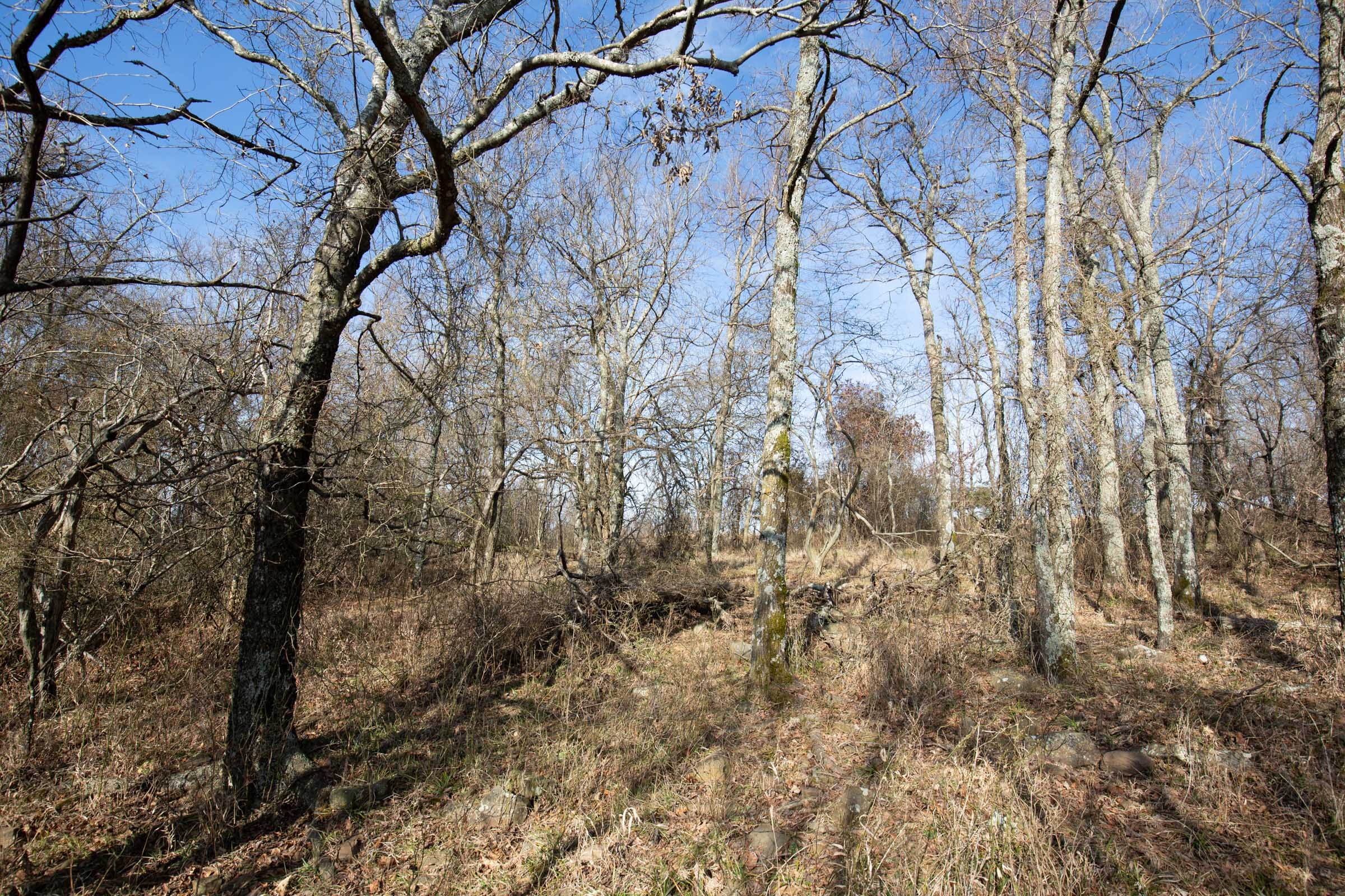 Painted Horse Tract 11 photo 10