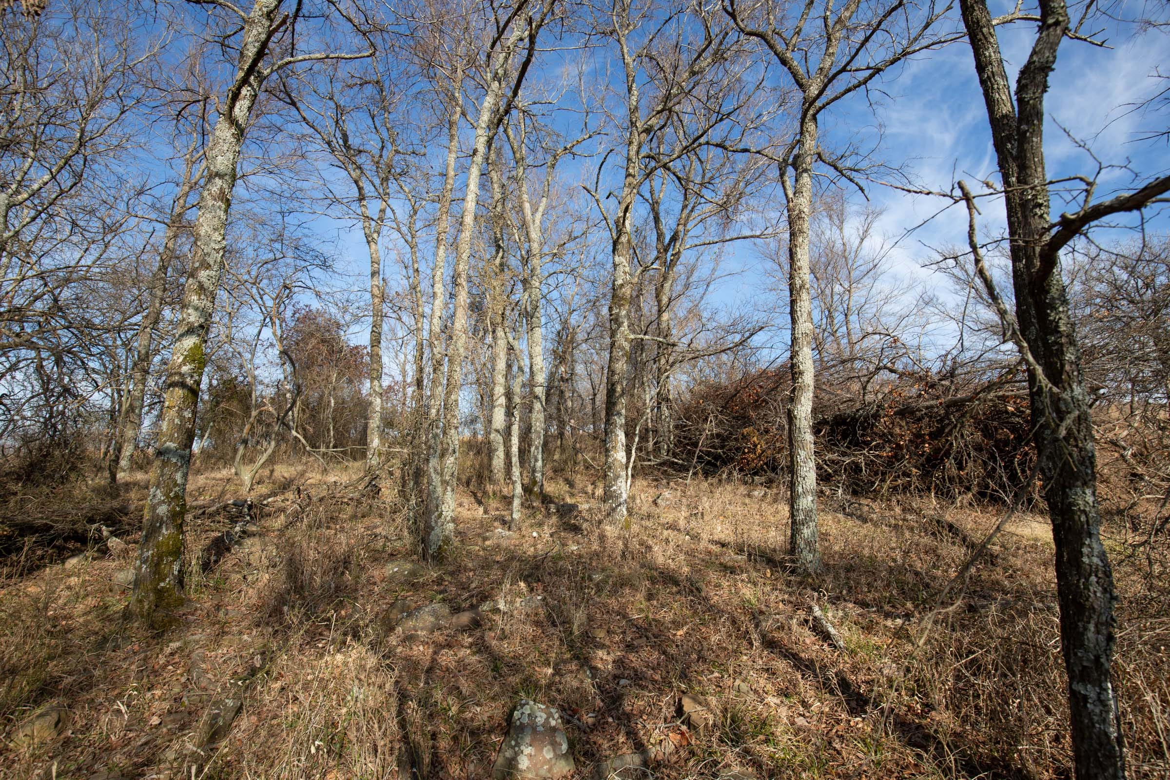 Painted Horse Tract 11 photo 11