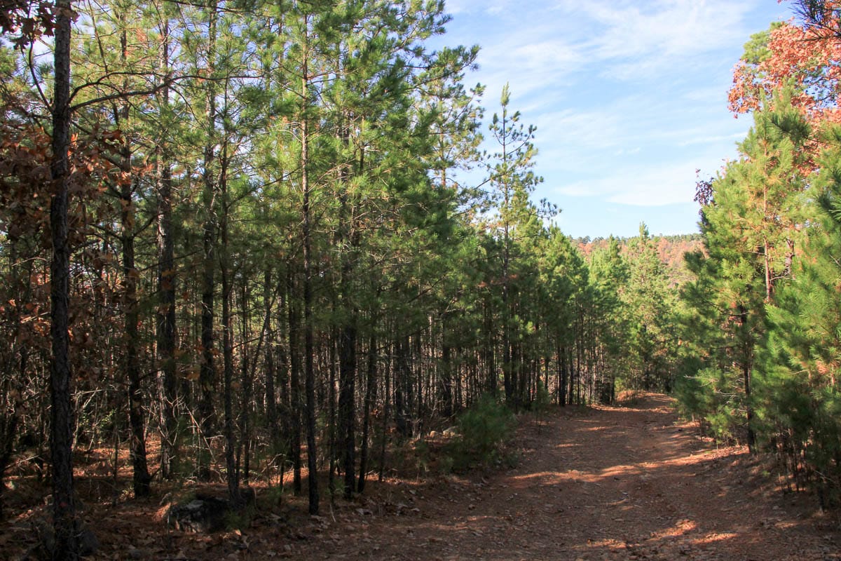 Stone Creek Phase III Tract 8 photo 1
