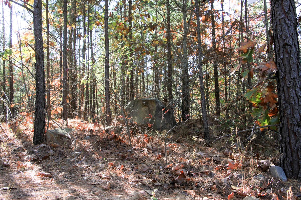 Stone Creek Phase III Tract 8 photo 2