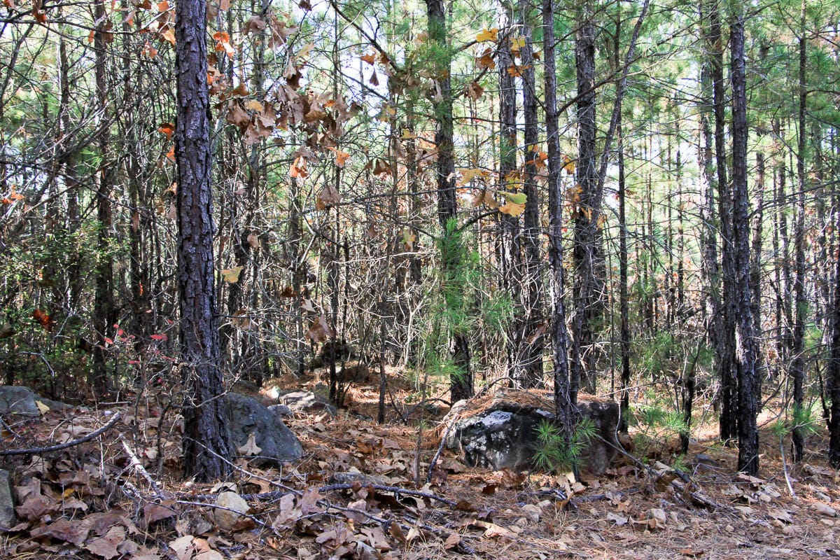 Stone Creek Phase III Tract 8 photo 3