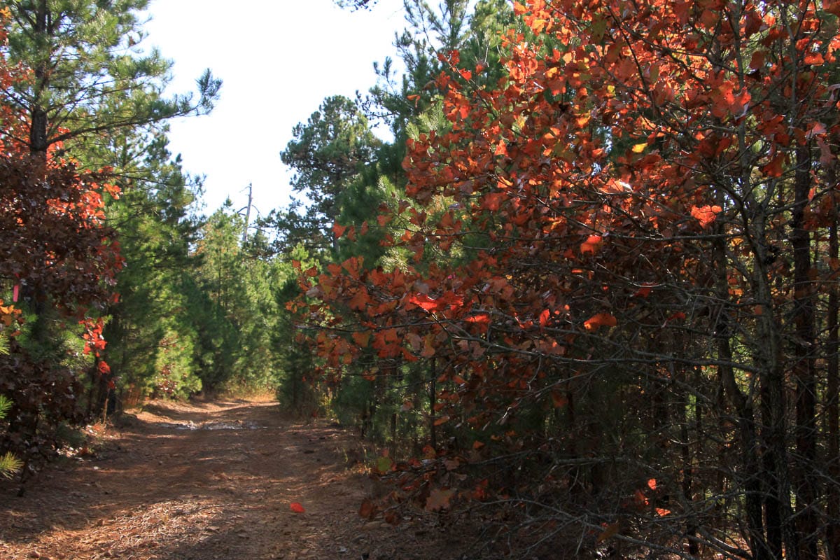 Stone Creek Phase III Tract 8 photo 4