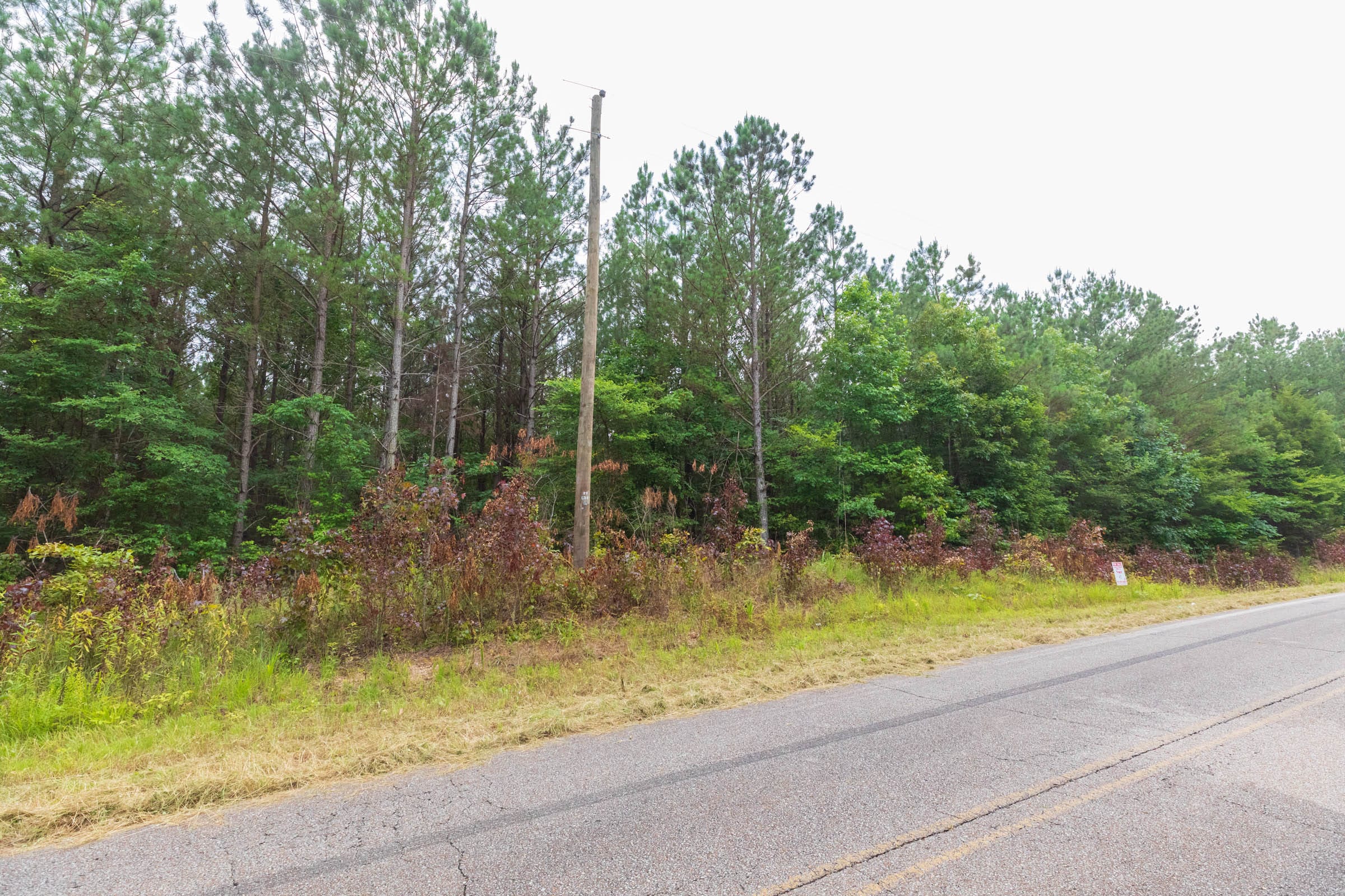 Whiskey Ridge Tract 42 photo 10