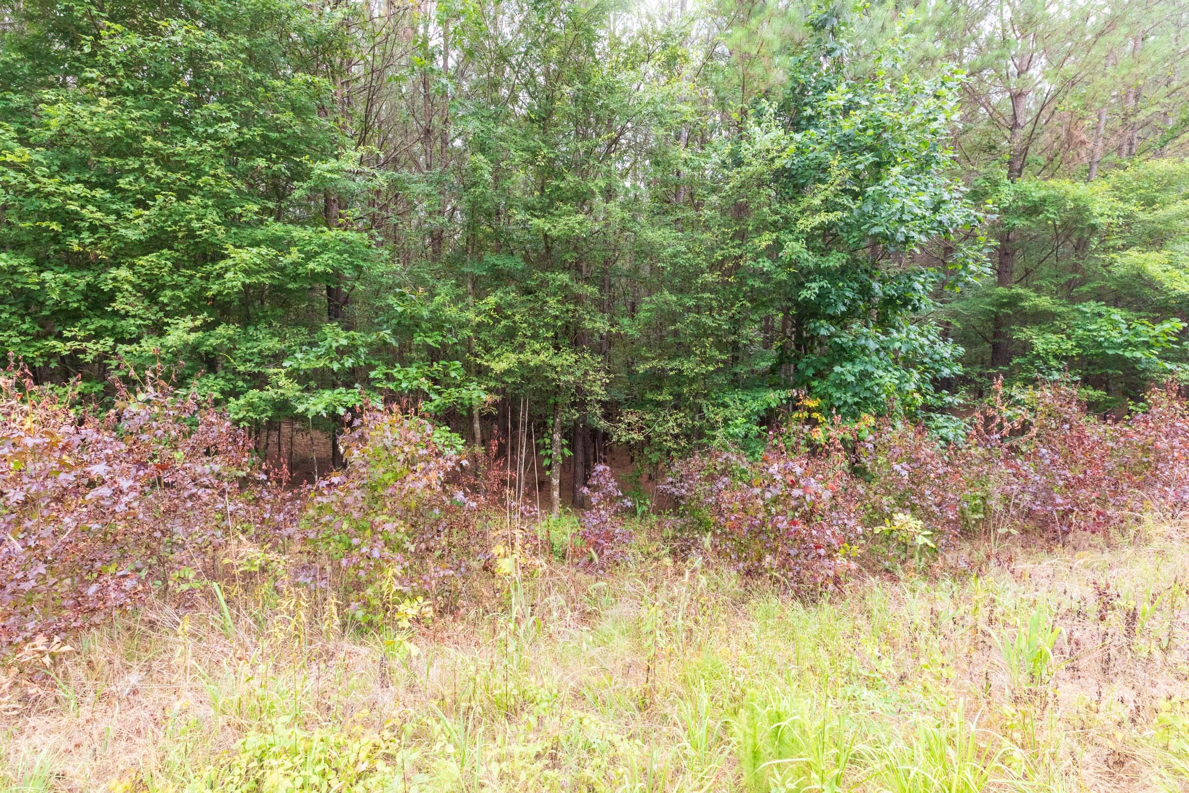 Whiskey Ridge Tract 42 photo 9
