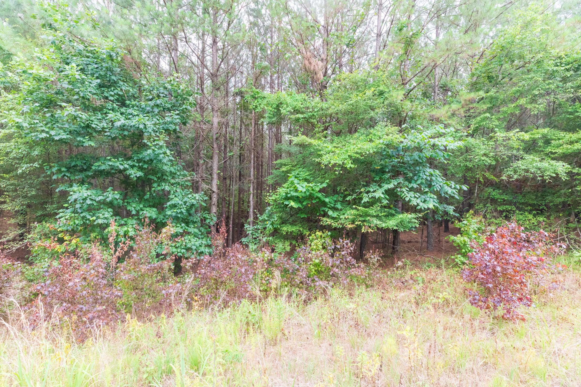 Whiskey Ridge Tract 42 photo 8