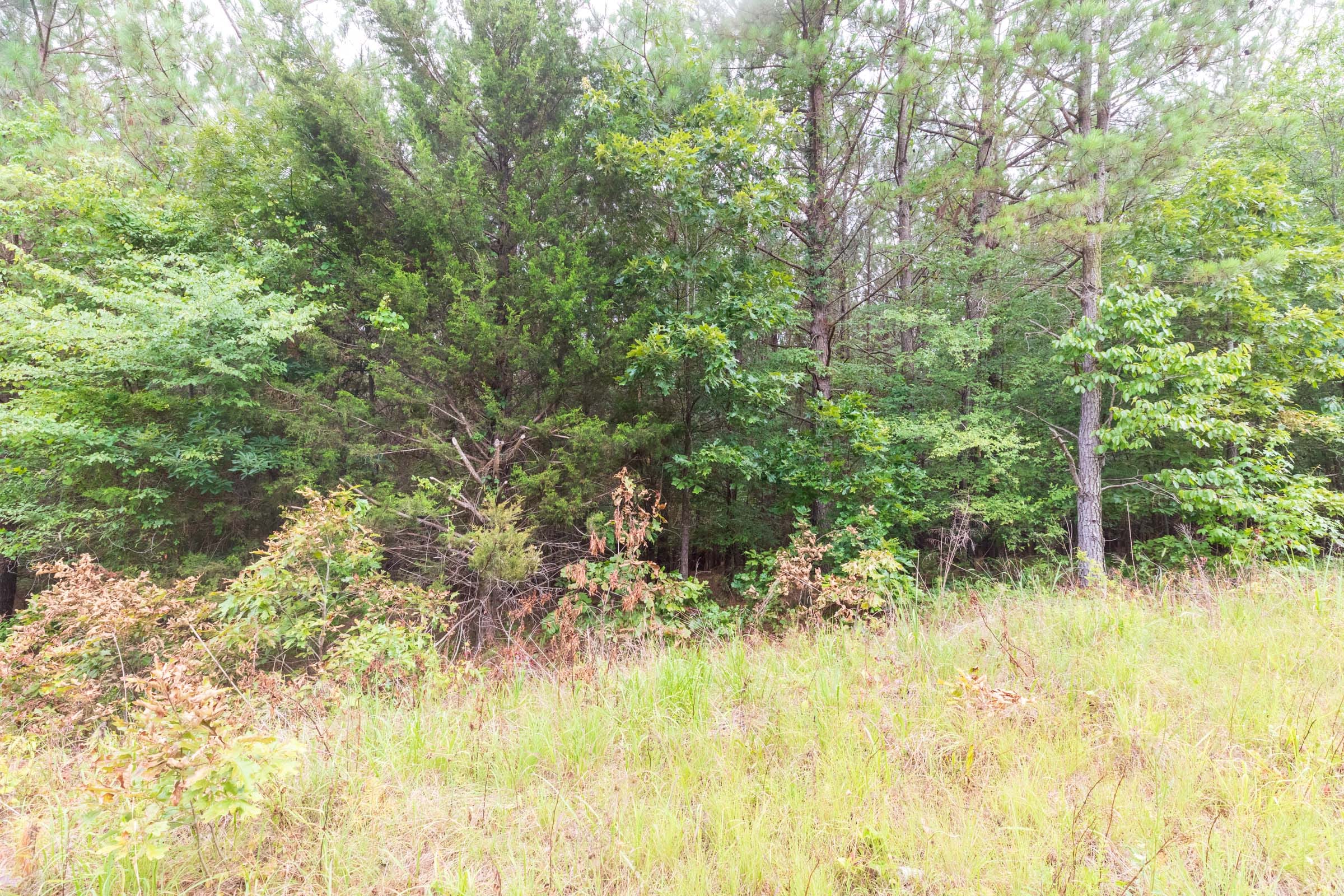 Whiskey Ridge Tract 42 photo 4