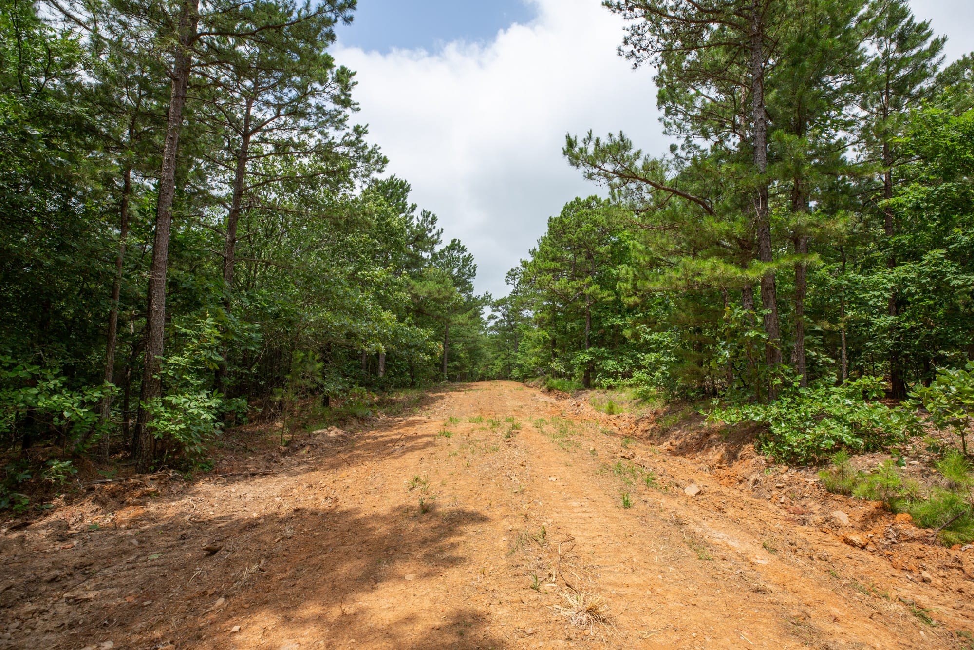 Eagle’s Nest Tract 61 photo 2