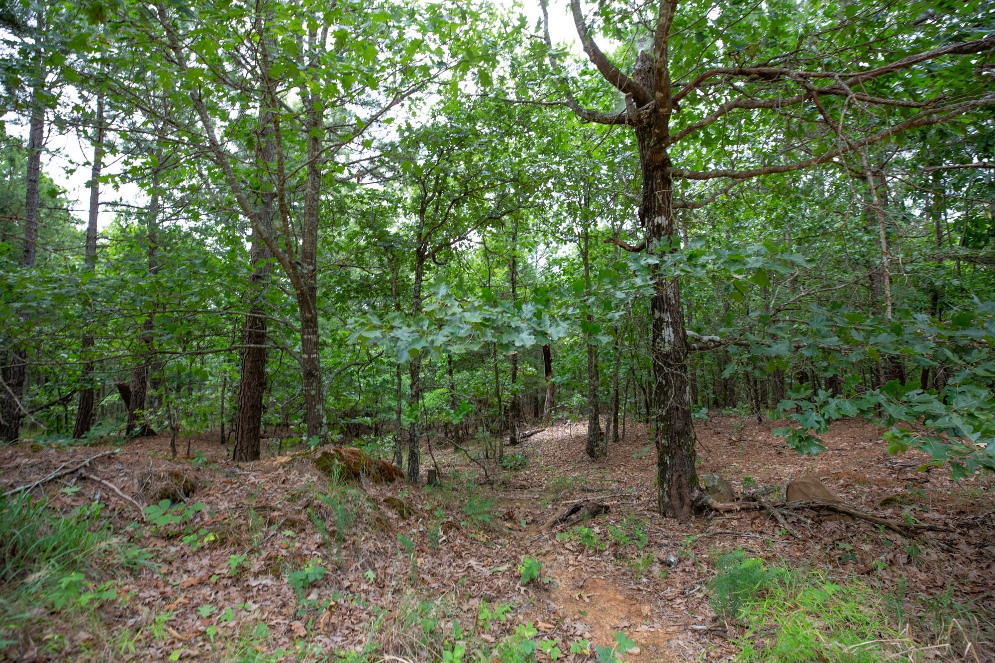 Eagle’s Nest Tract 61 photo 4
