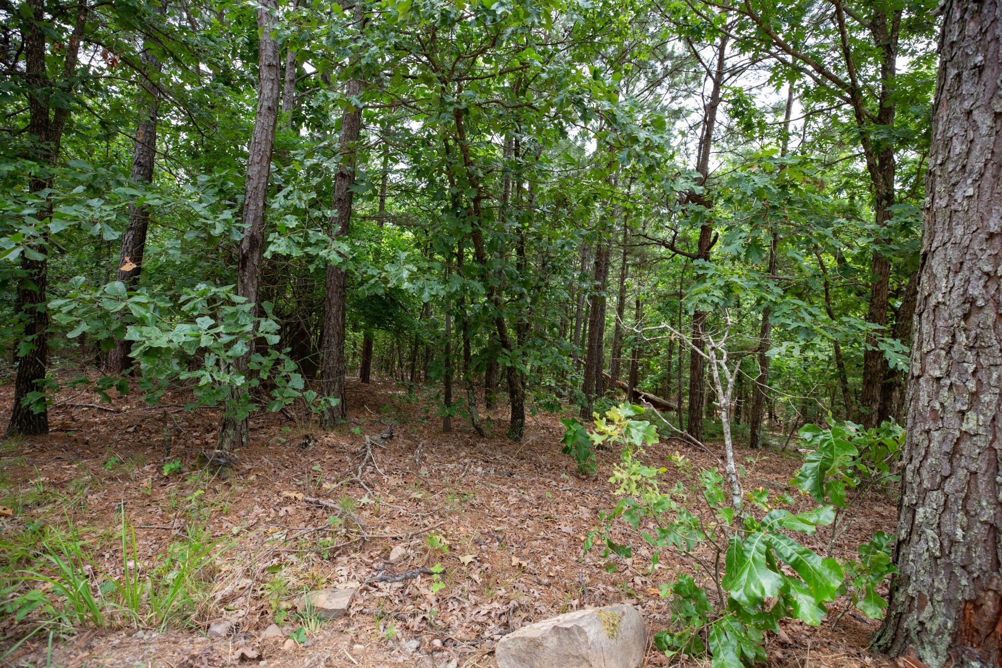 Eagle’s Nest Tract 61 photo 6