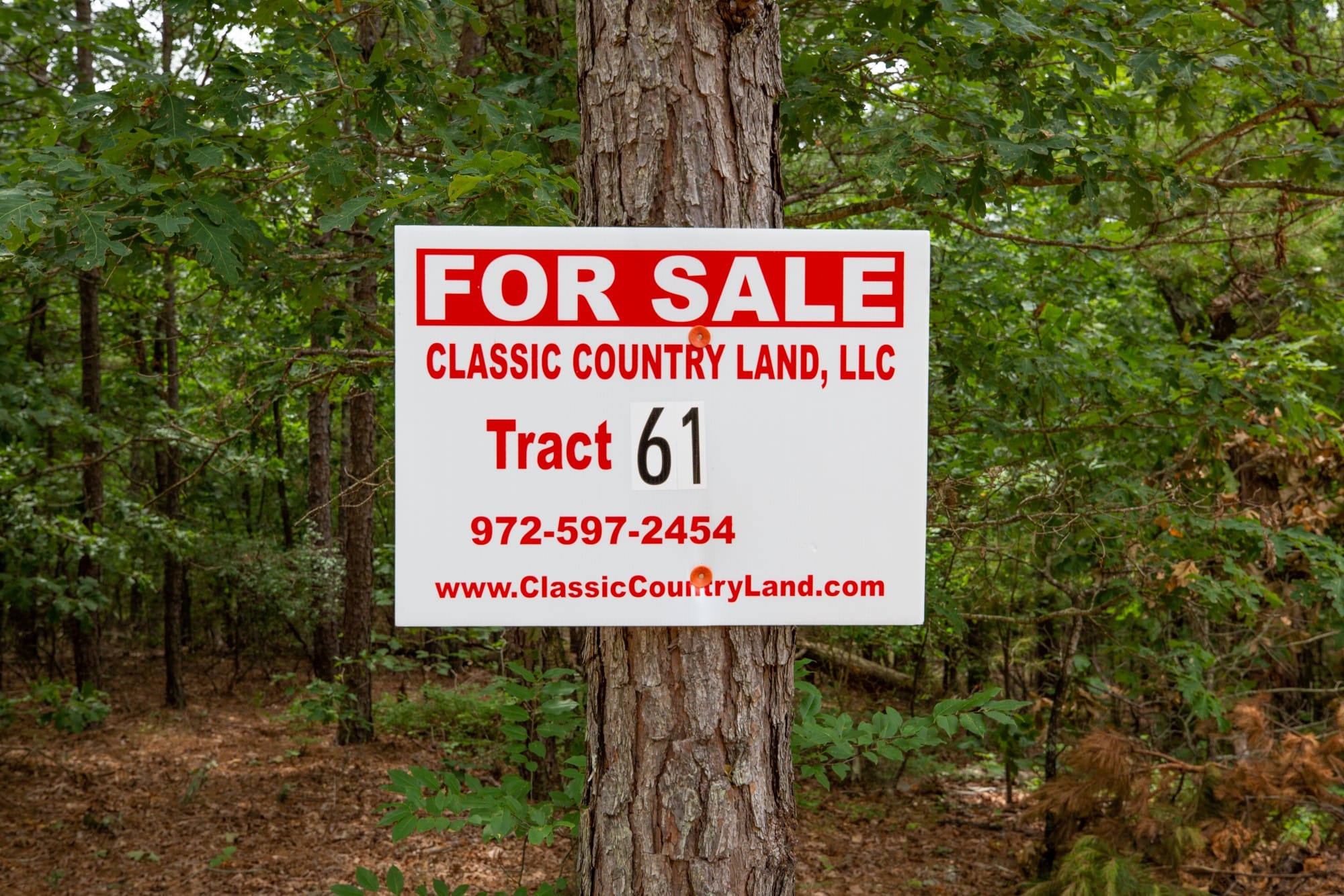 Eagle’s Nest Tract 61 photo 1
