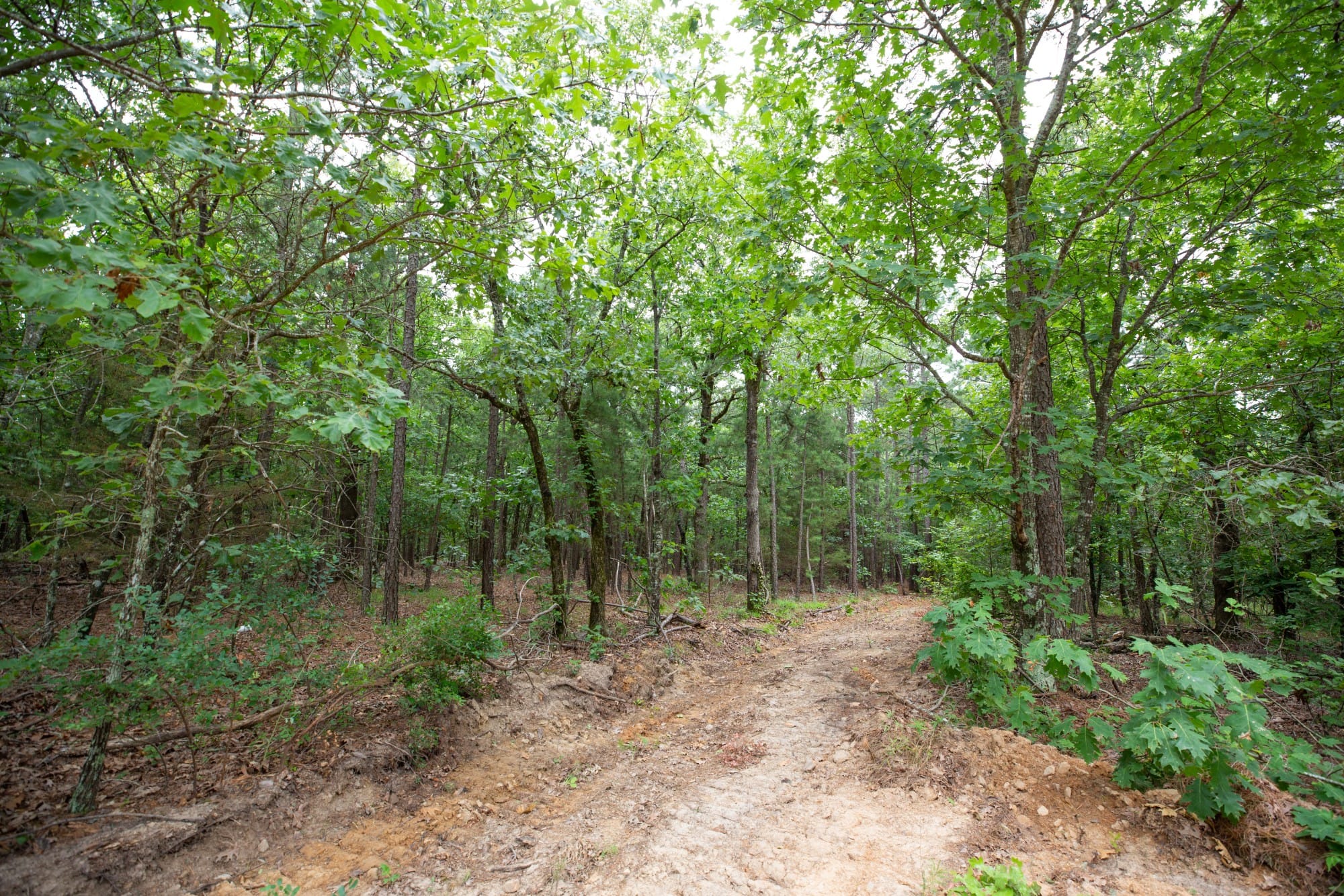 Eagle’s Nest Tract 61 photo 9