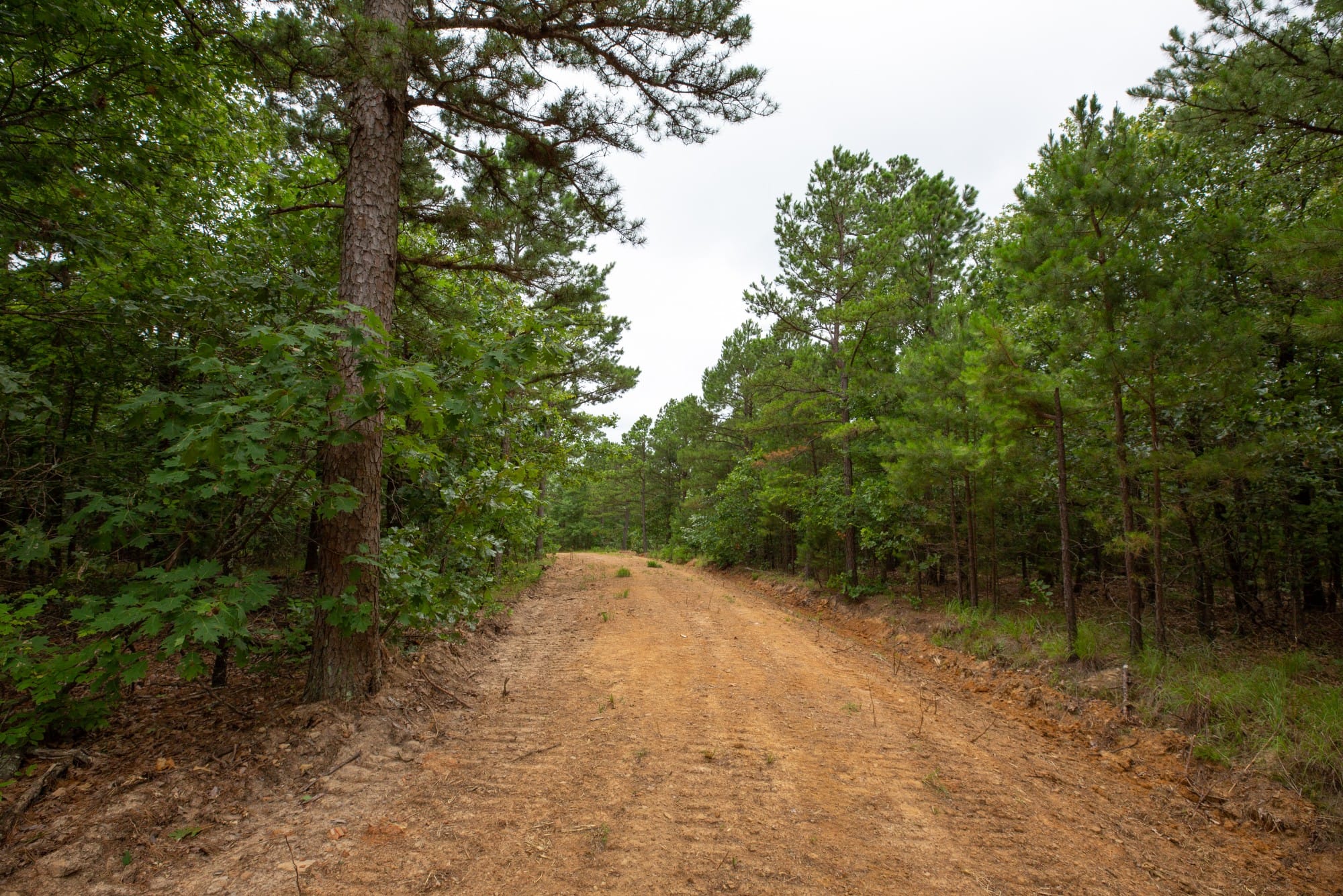 Eagle’s Nest Tract 61 photo 10