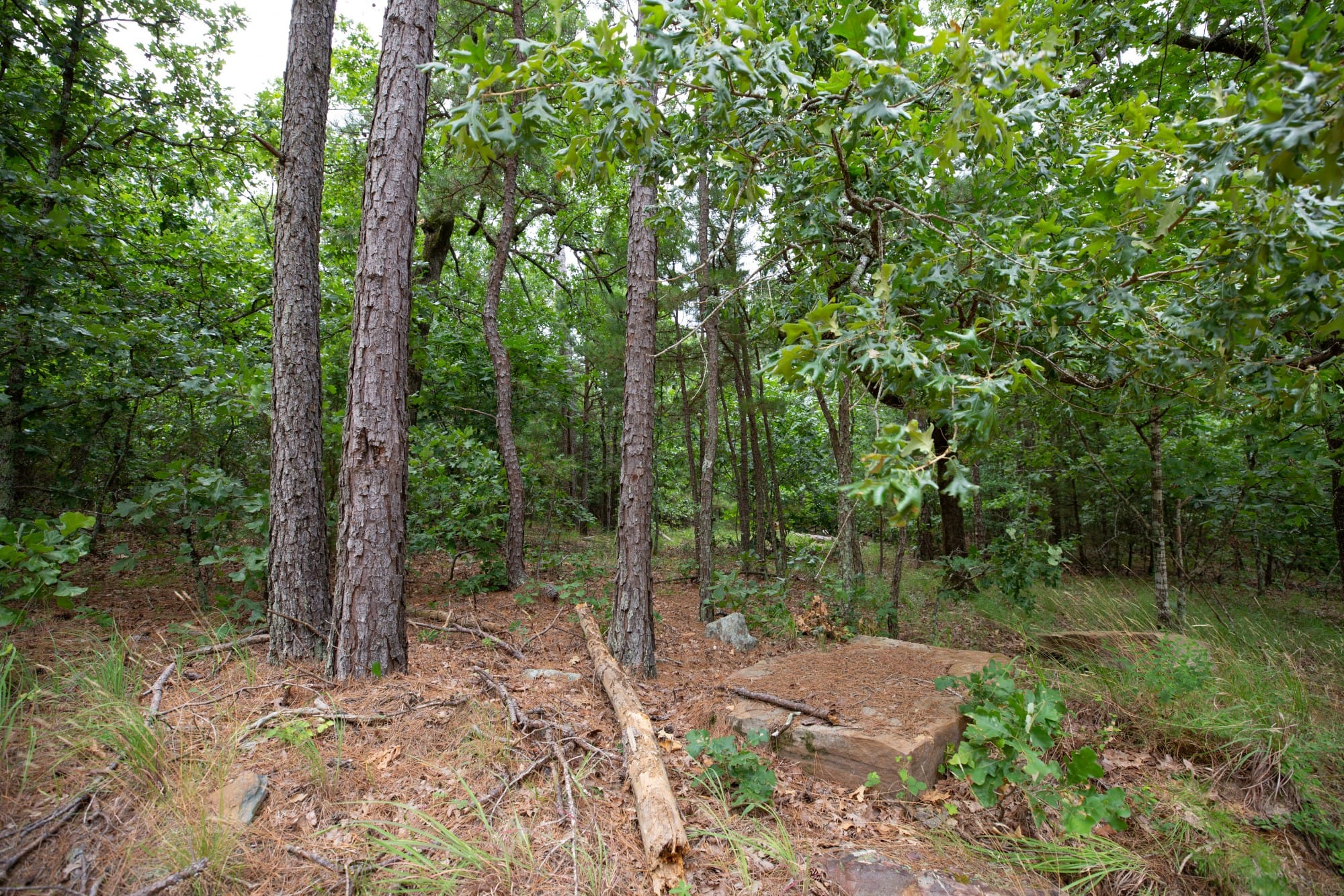 Eagle’s Nest Tract 61 photo 13