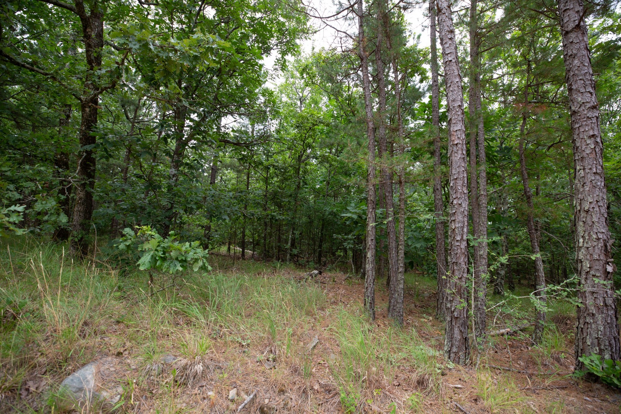 Eagle’s Nest Tract 61 photo 14