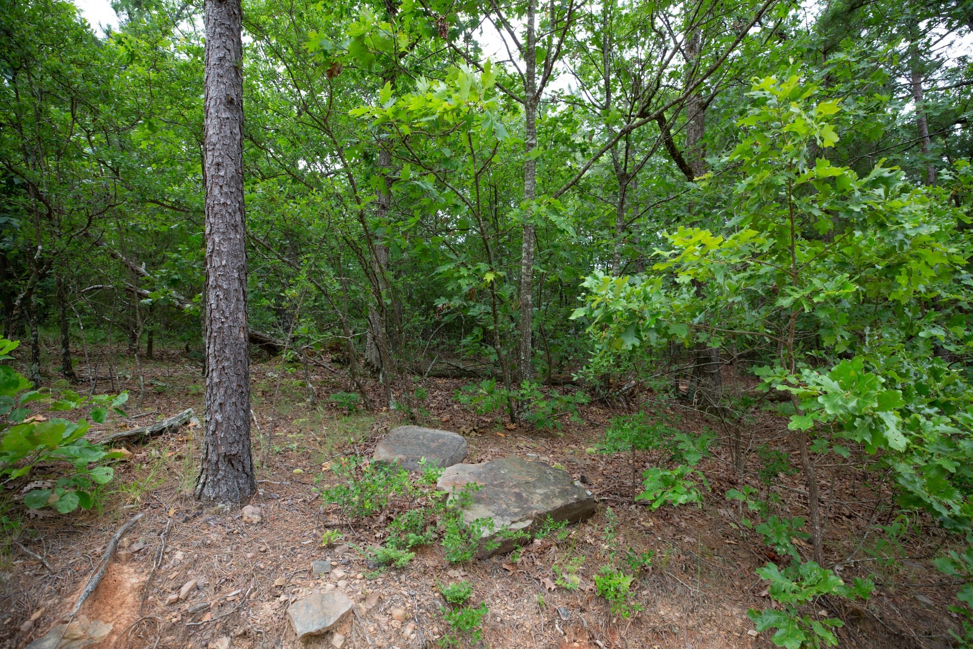 Eagle’s Nest Tract 61 photo 15