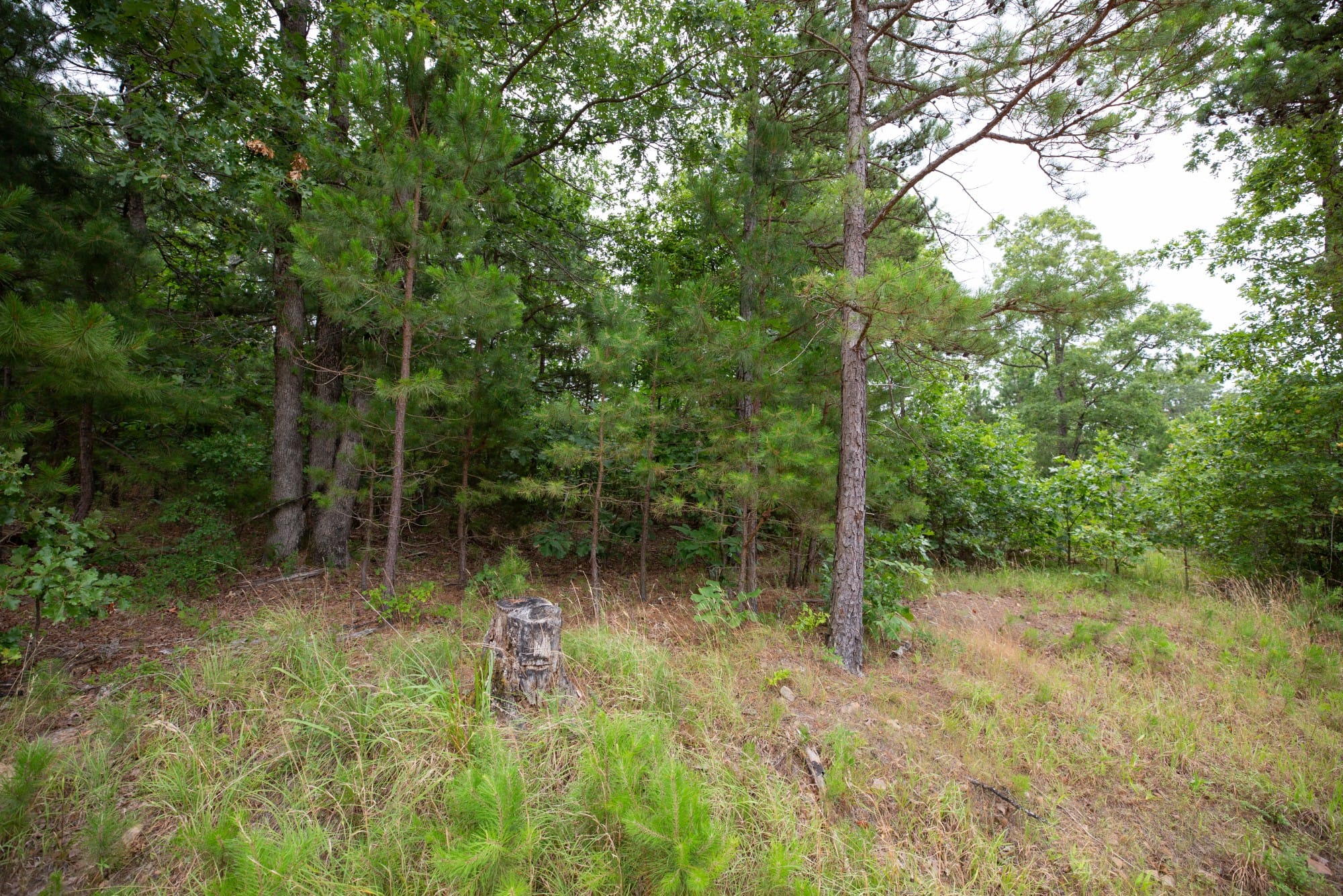 Eagle’s Nest Tract 61 photo 16