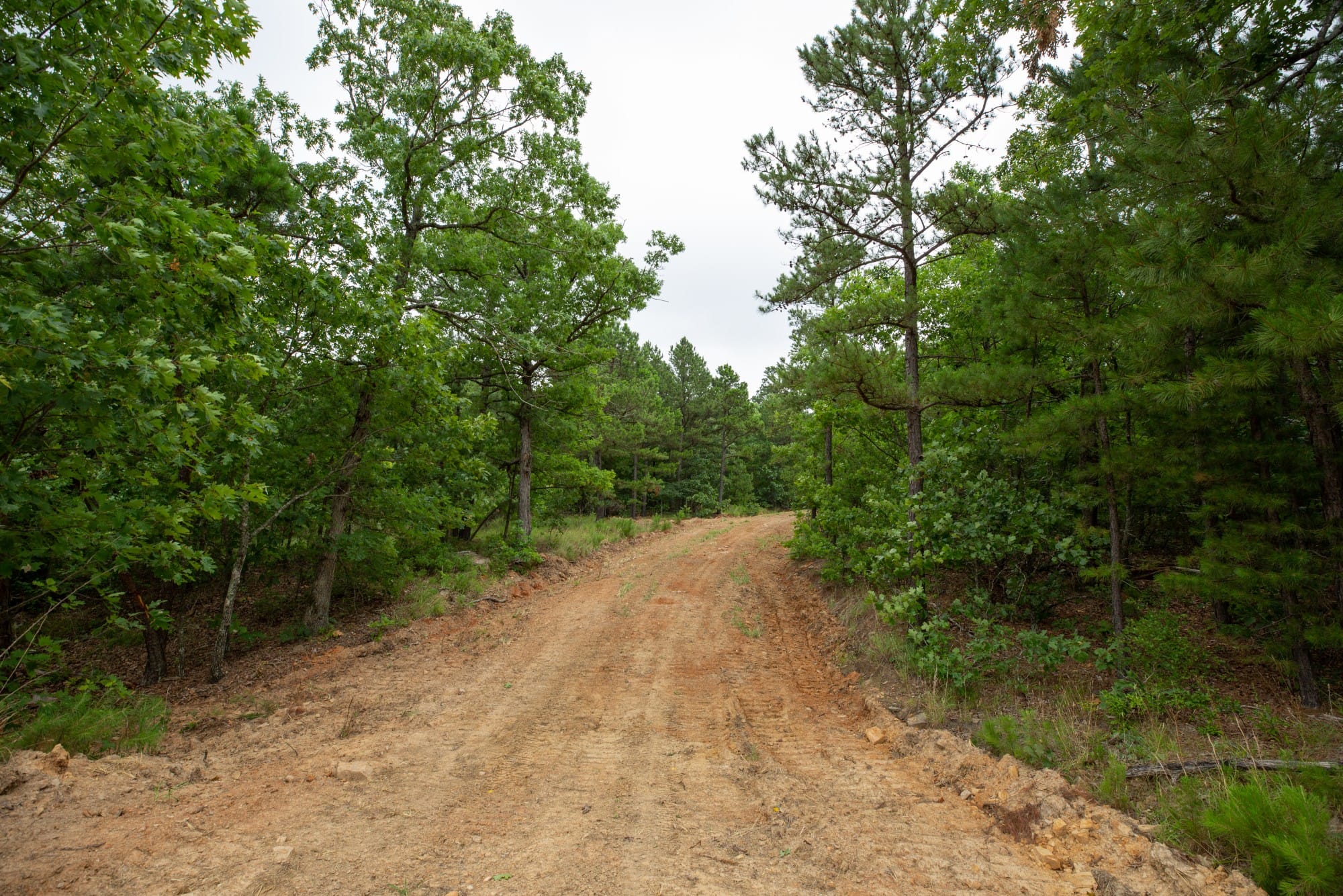 Eagle’s Nest Tract 61 photo 17