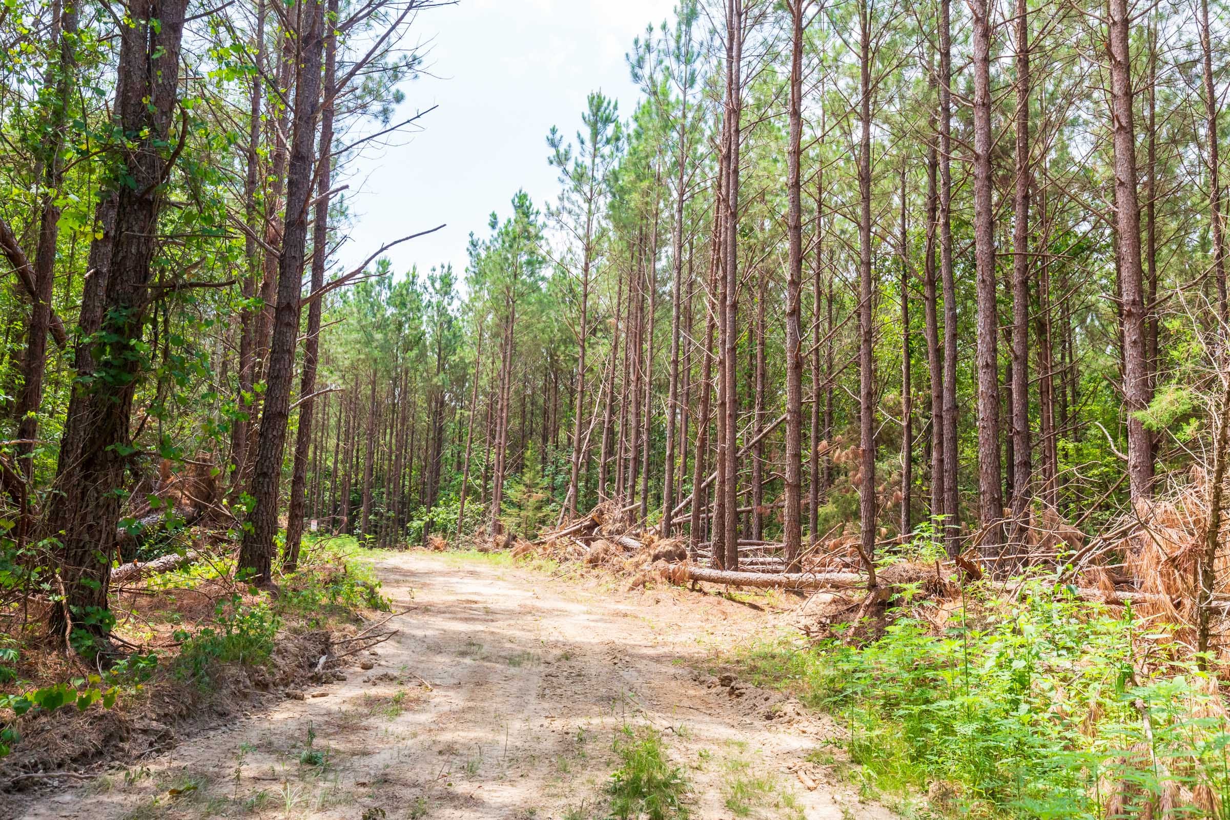 Whiskey Ridge Tract 90 photo 1