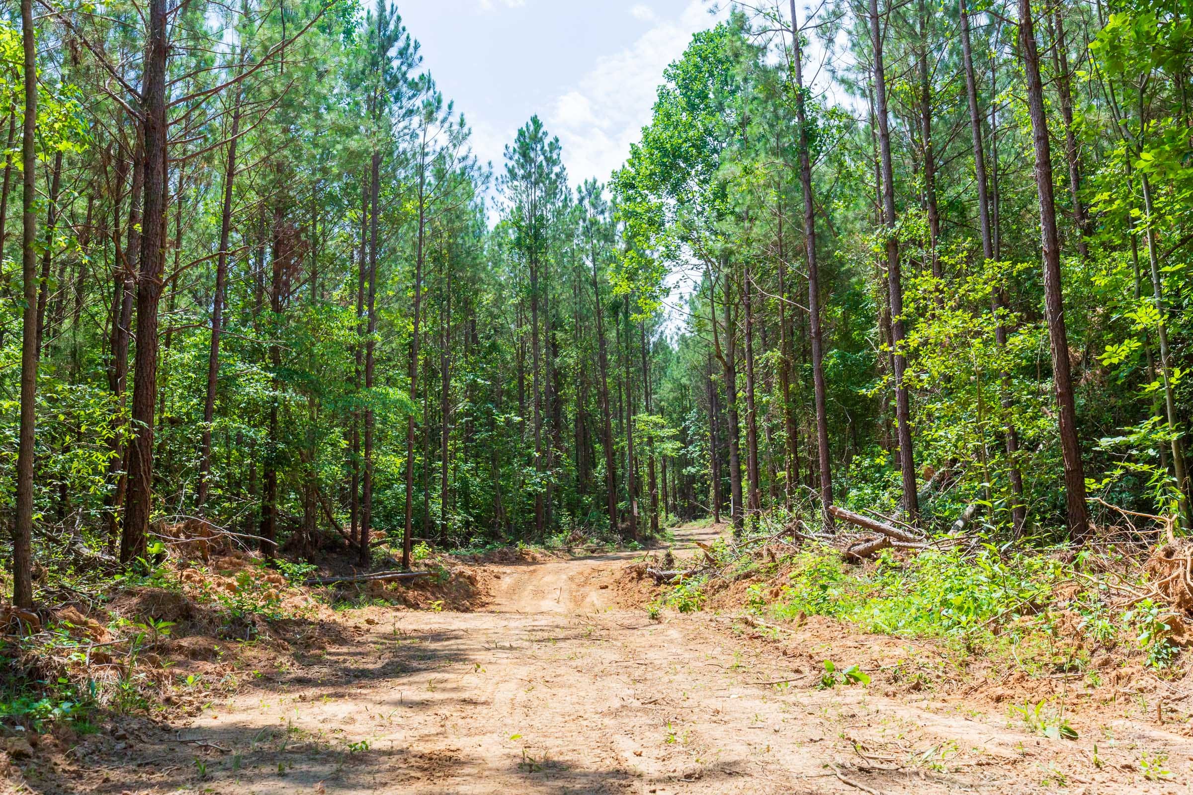 Whiskey Ridge Tract 90 photo 10
