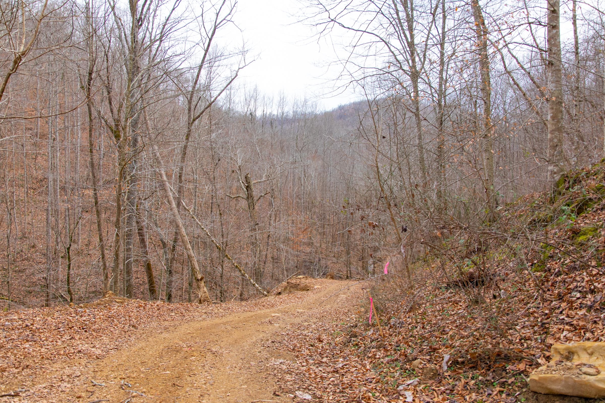 Blackstone Mountain Phase I Tract 43 photo 1