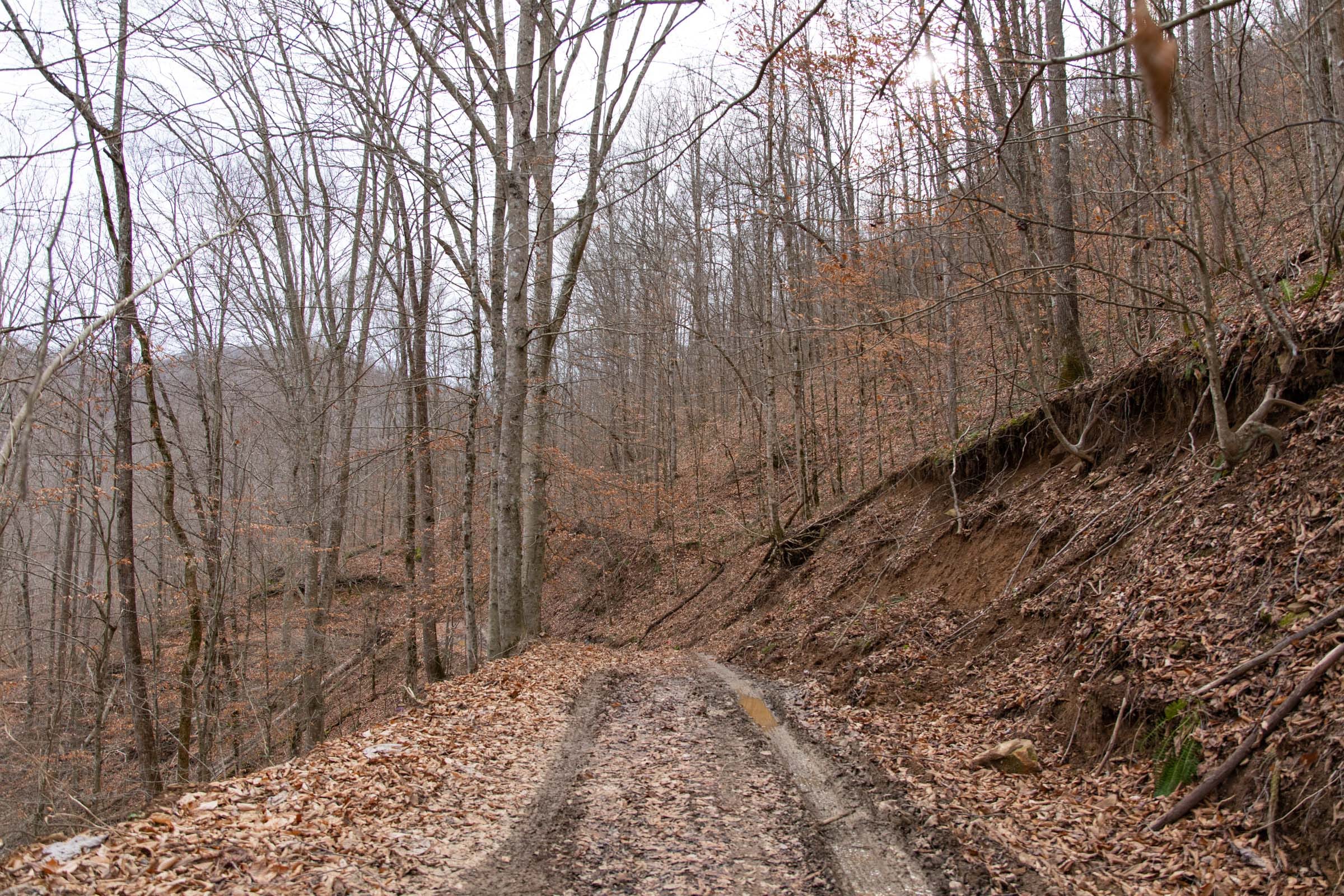Blackstone Mountain Phase I Tract 43 photo 7