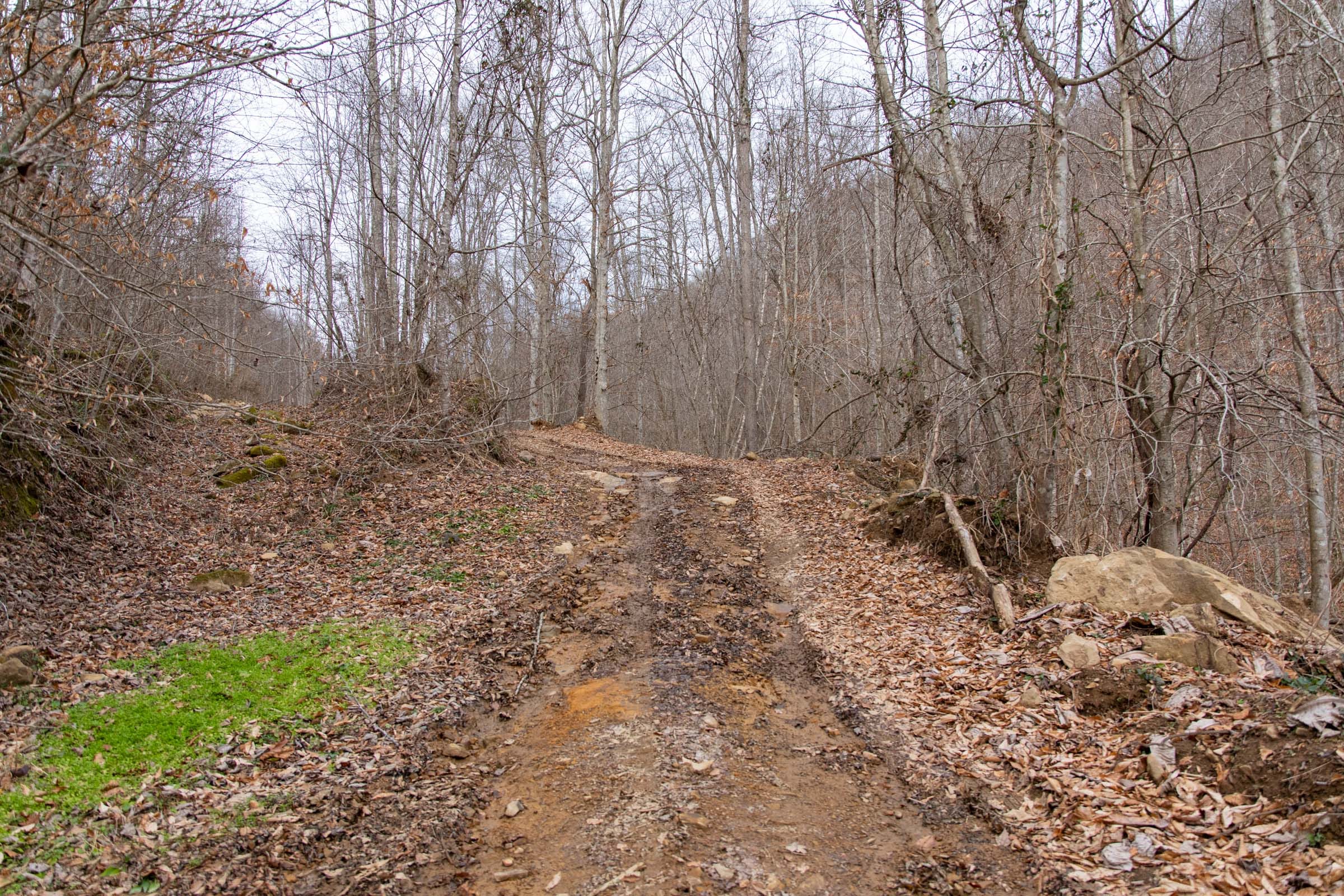 Blackstone Mountain Phase I Tract 43 photo 8