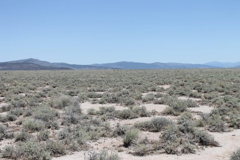 Moon Valley Ranch Tract 117 photo 3