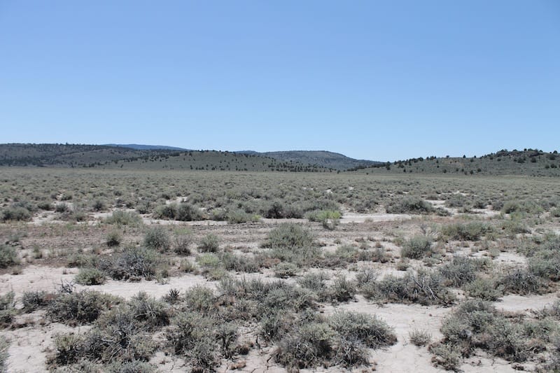 Moon Valley Ranch Tract 117 photo 7