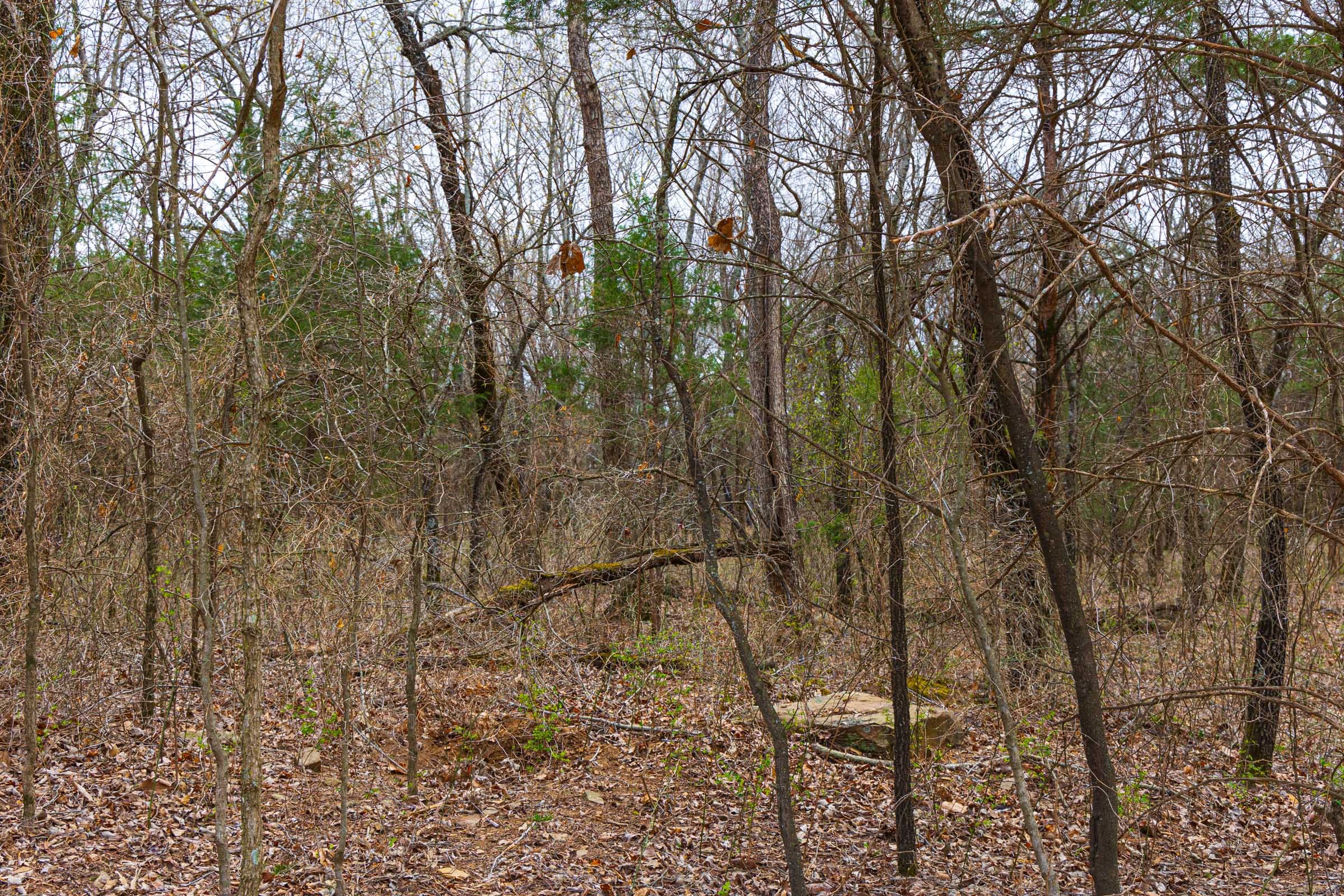 Reserves At Cattail Cove Phase I Tract 8 photo 14