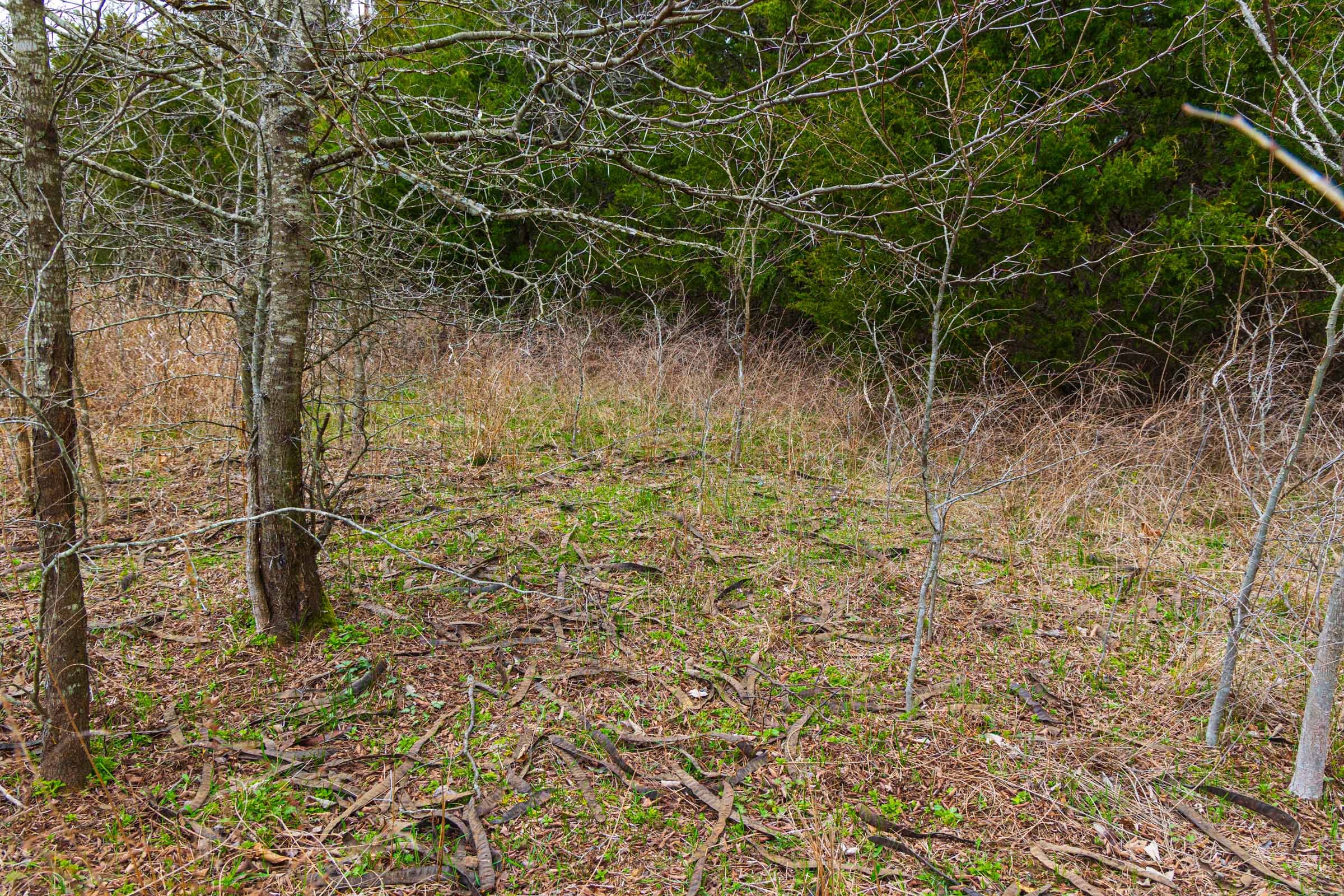 Reserves At Cattail Cove Phase I Tract 8 photo 12