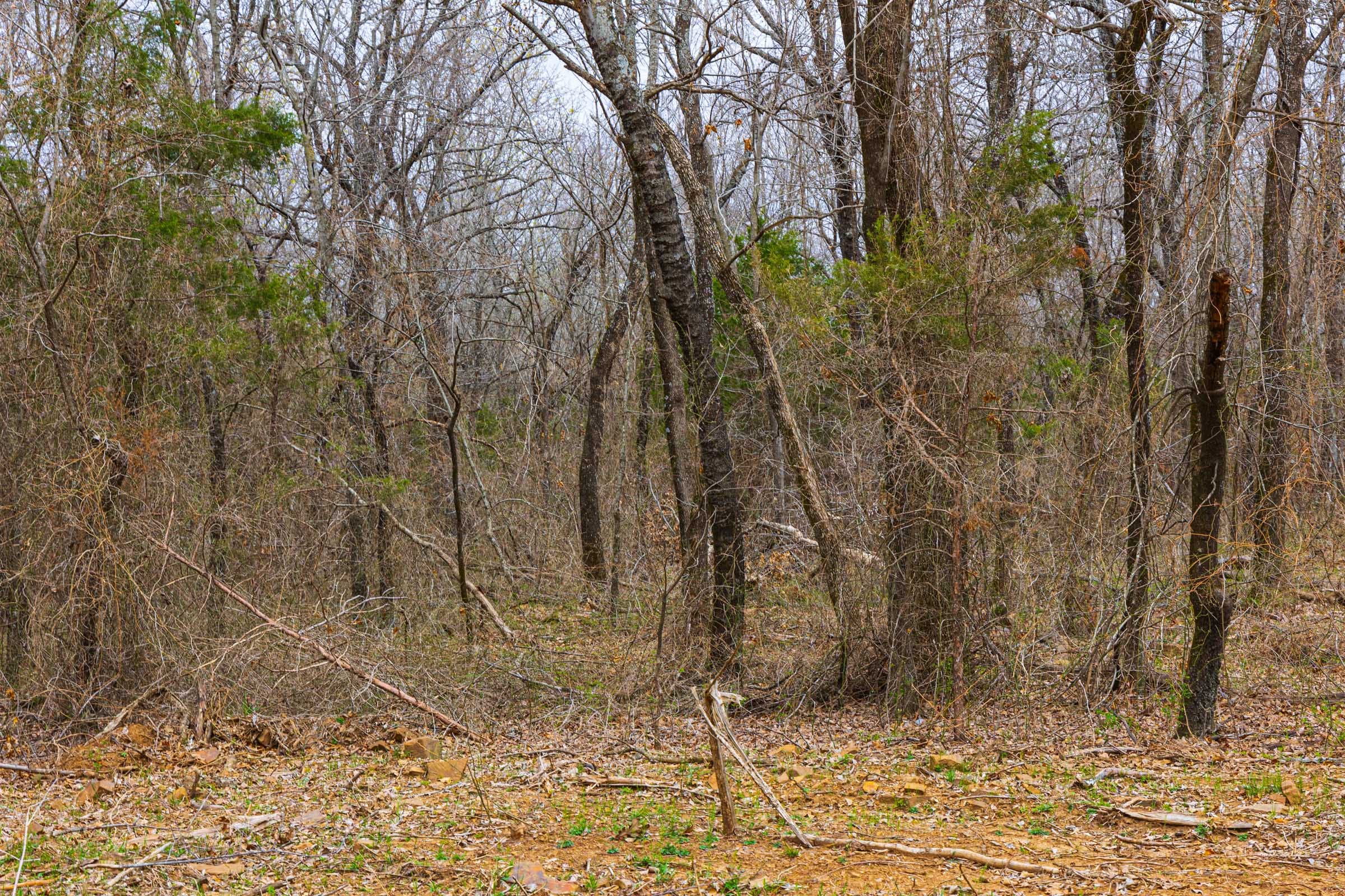 Reserves At Cattail Cove Phase I Tract 8 photo 11