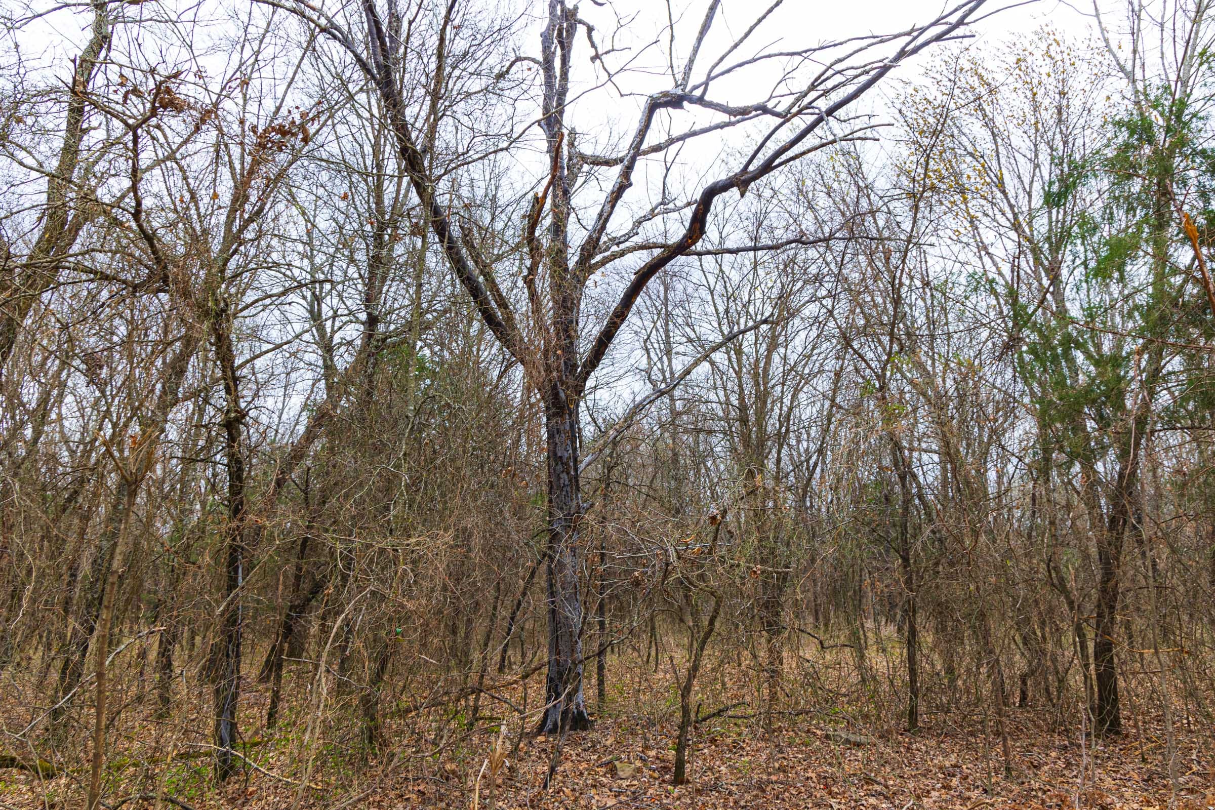 Reserves At Cattail Cove Phase I Tract 8 photo 6