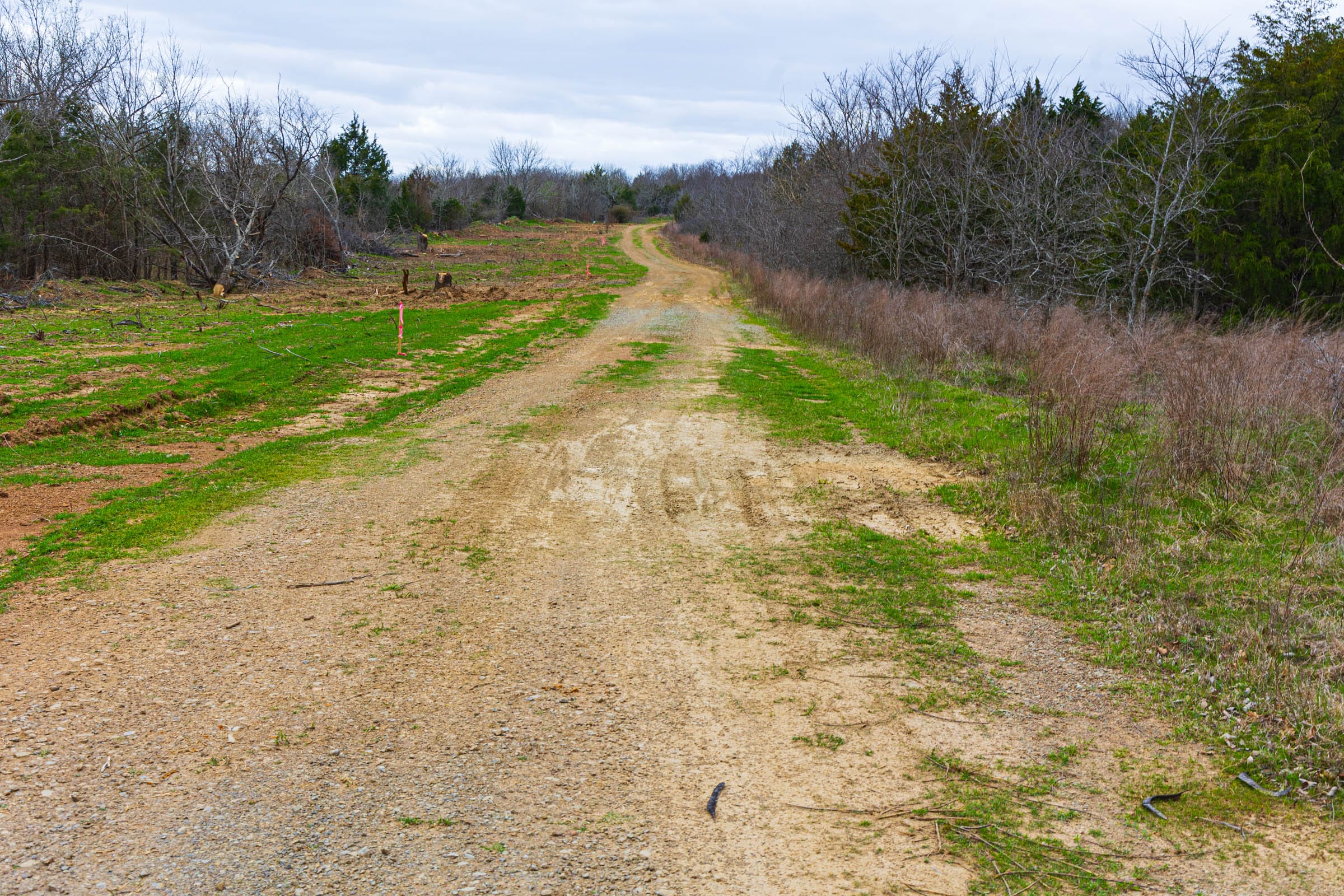 Reserves At Cattail Cove Phase I Tract 8 photo 13